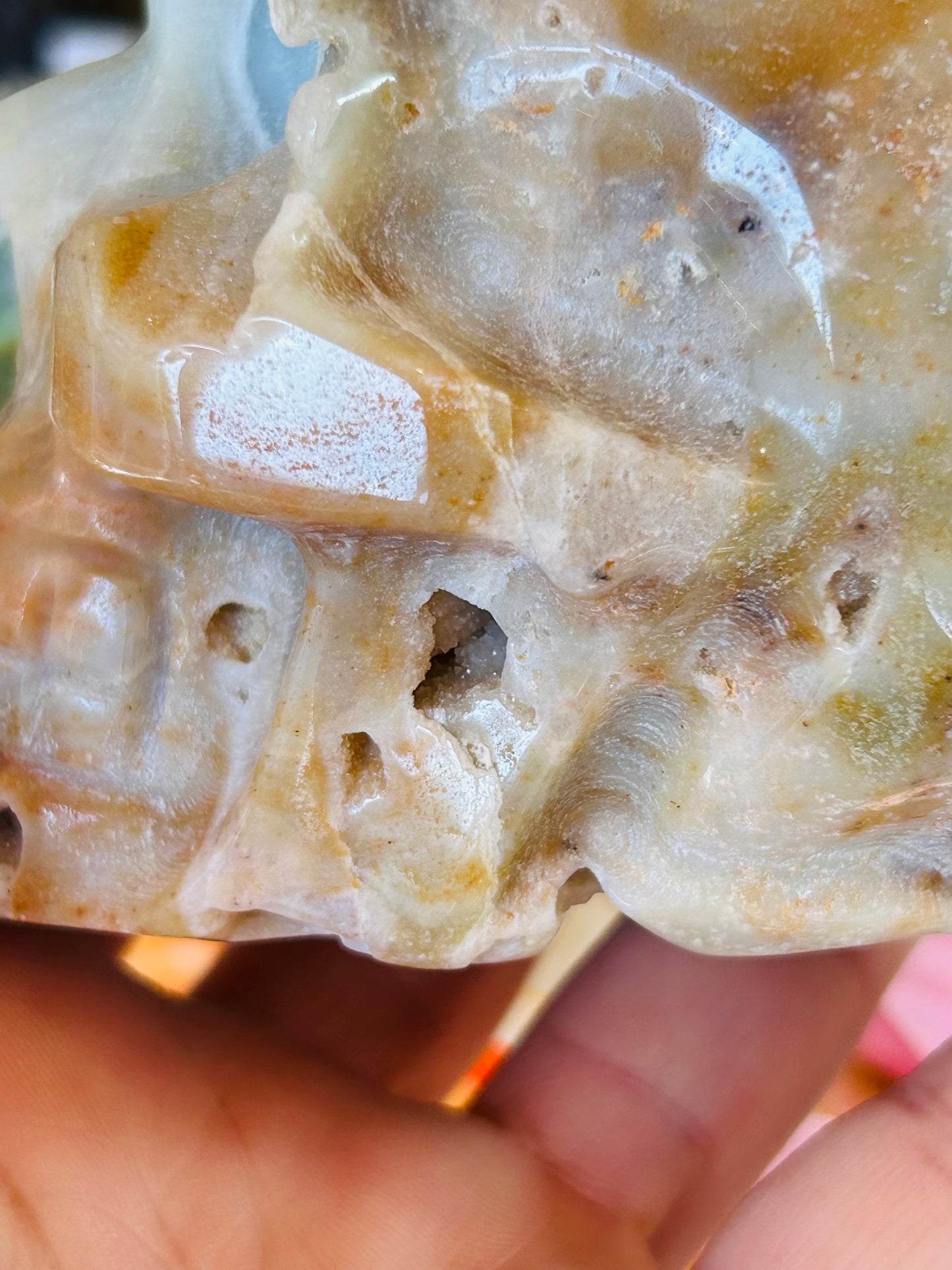 Caribbean calcite druzy skull