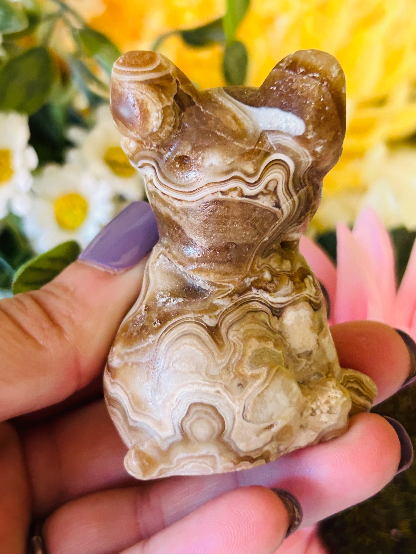 Chocolate calcite Frenchie