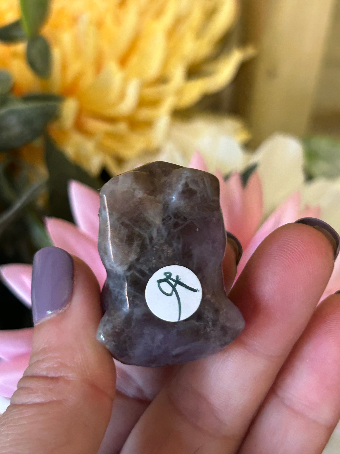 Chocolate calcite Frenchie