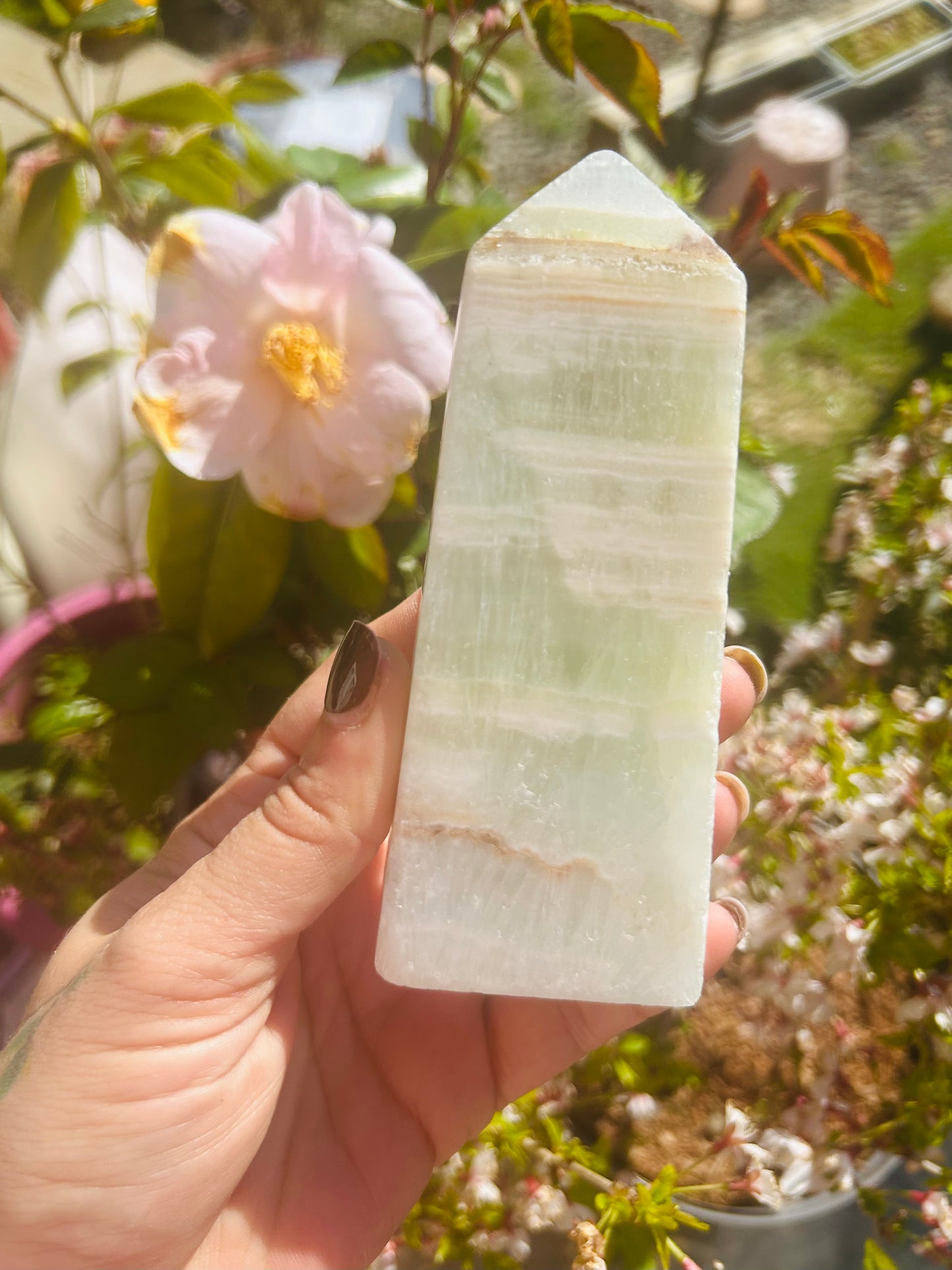 Caribbean calcite tower