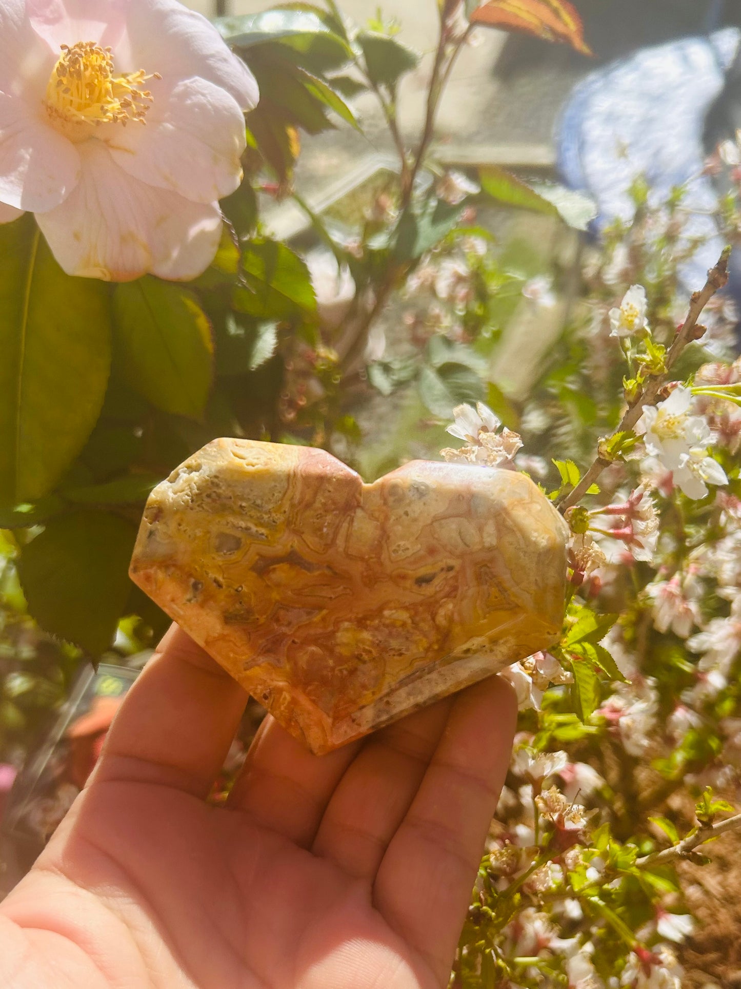 Crazy lace agate freestanding heart