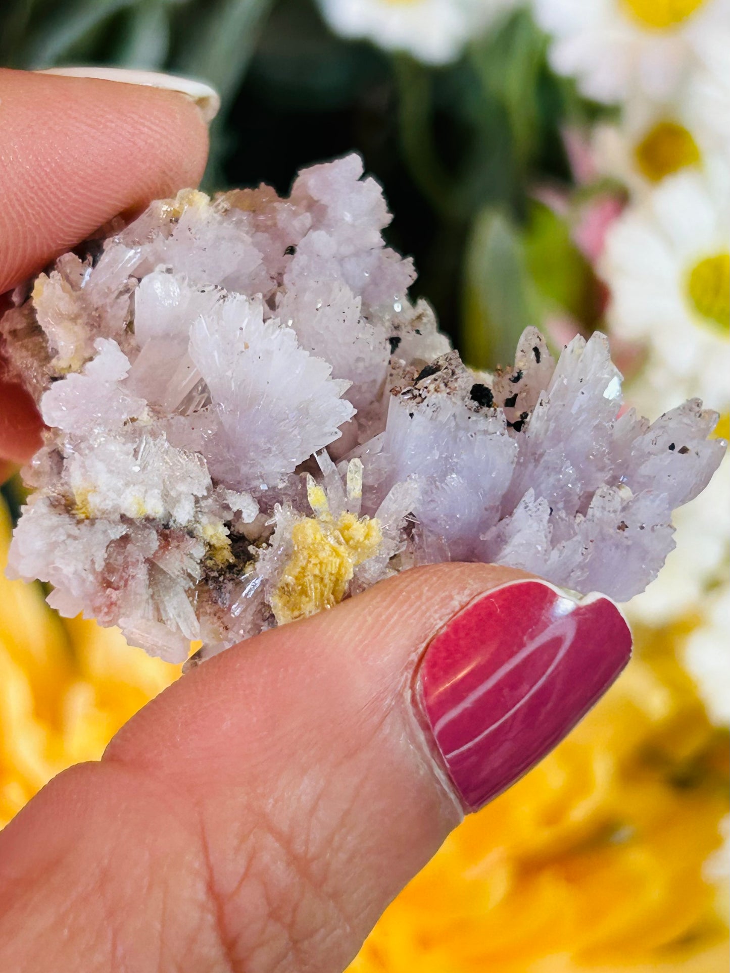 Purple creedite