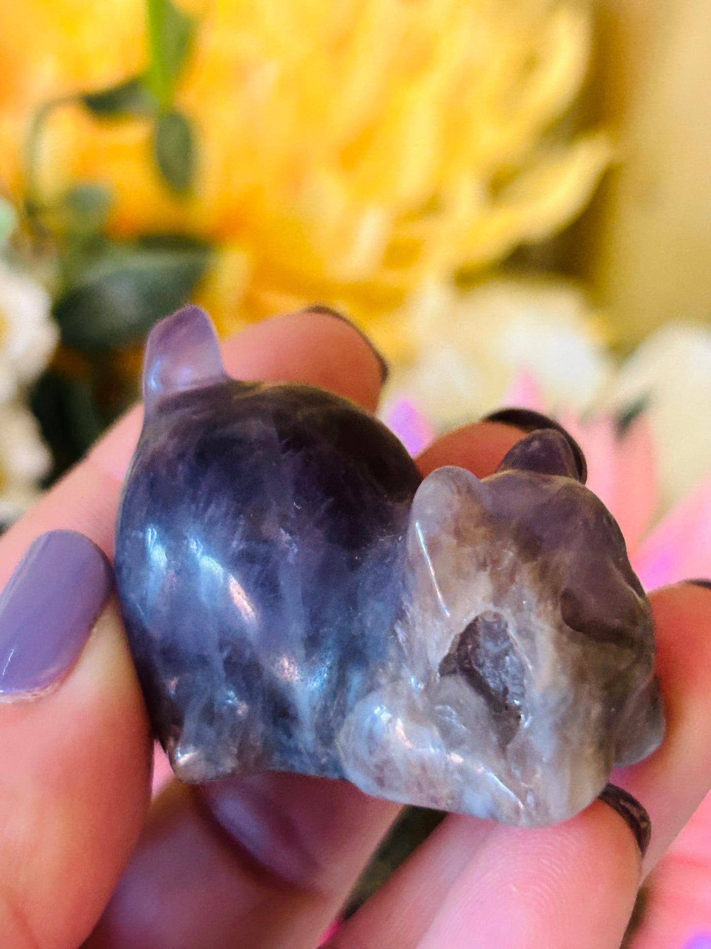 Amethyst cat