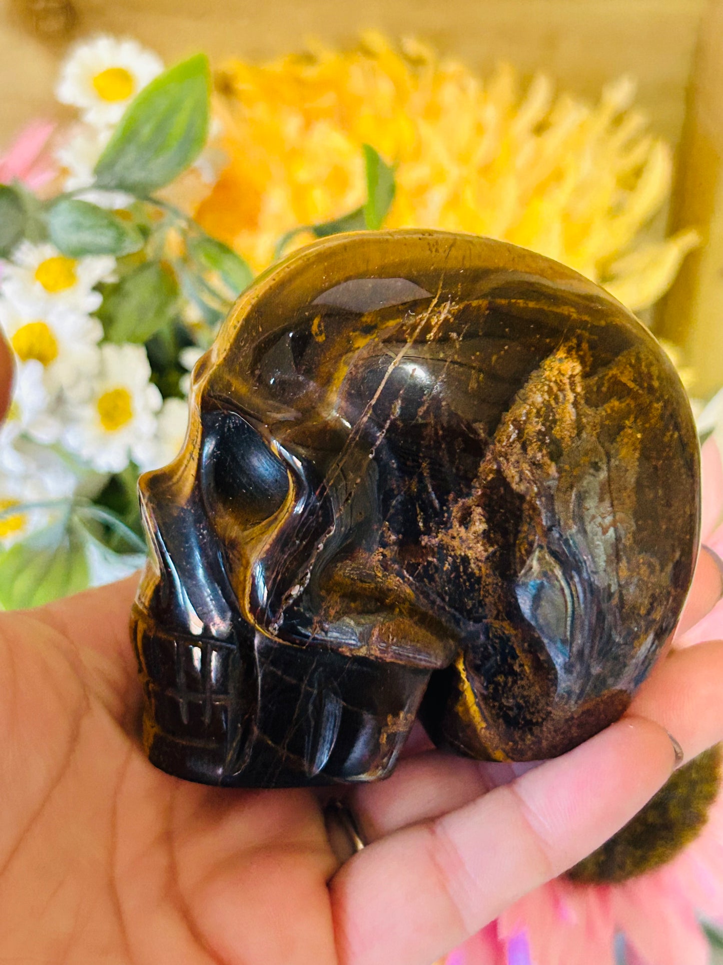 Tigers eye skull