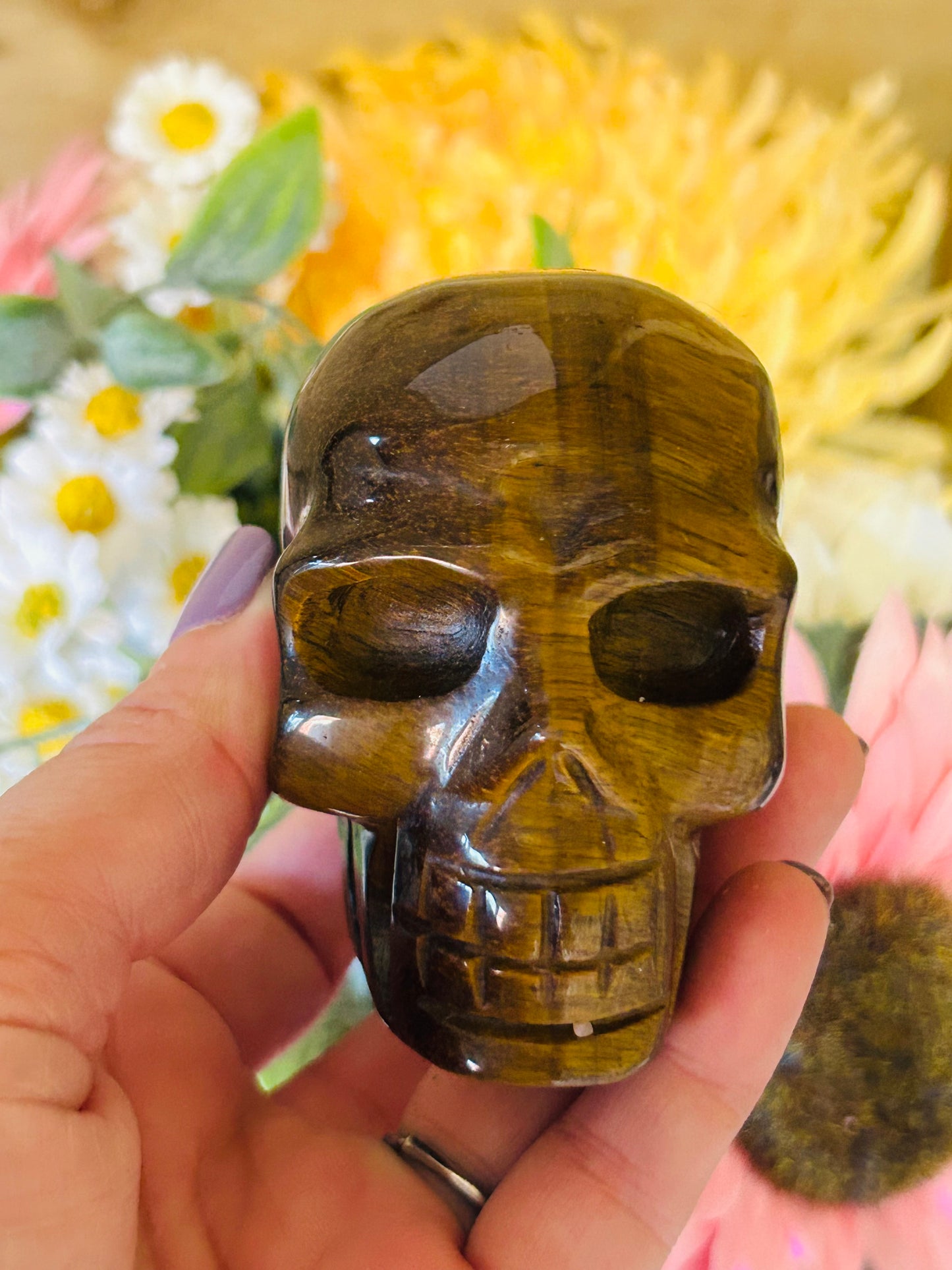 Tigers eye skull
