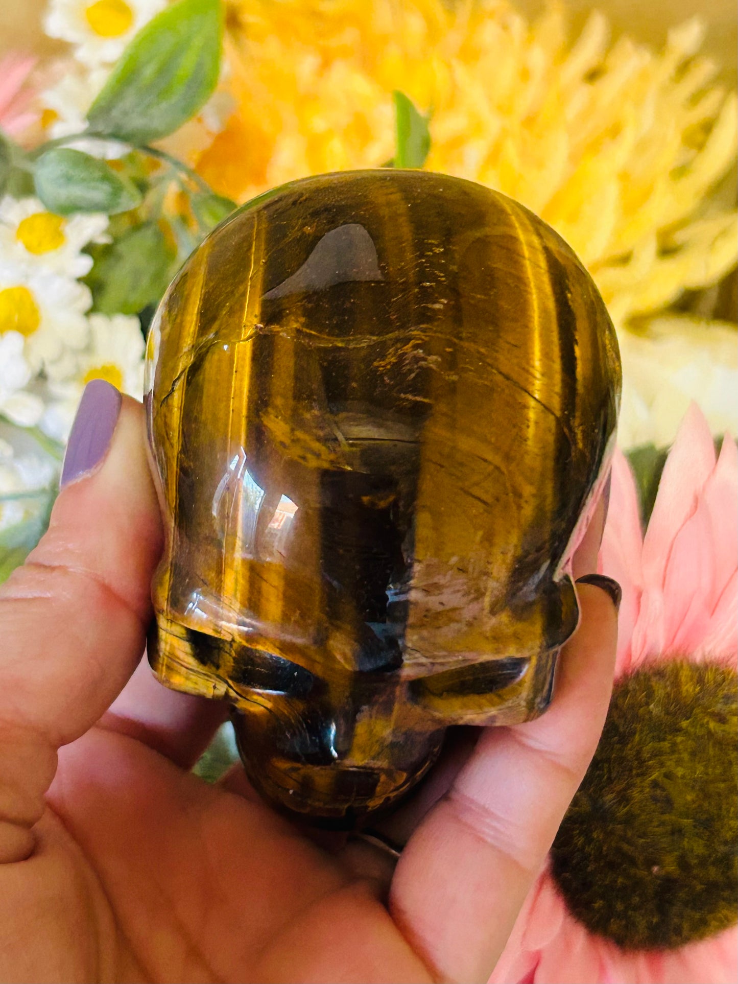 Tigers eye skull