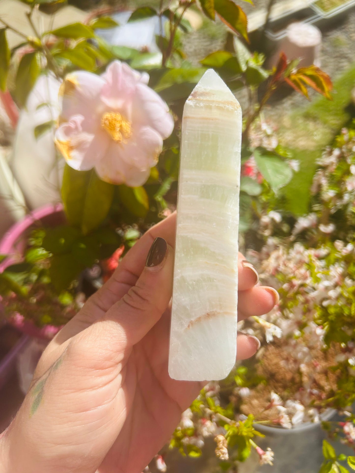 Caribbean calcite tower