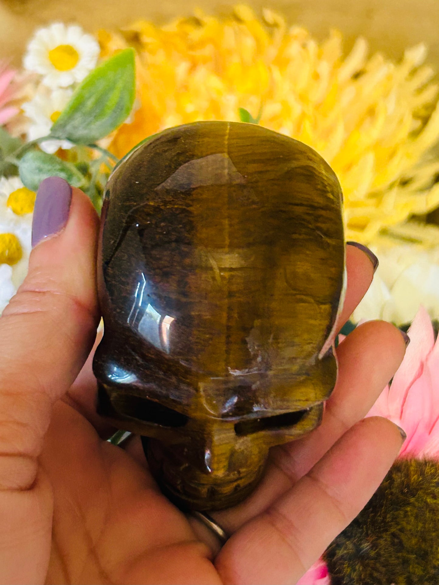 Tigers eye skull