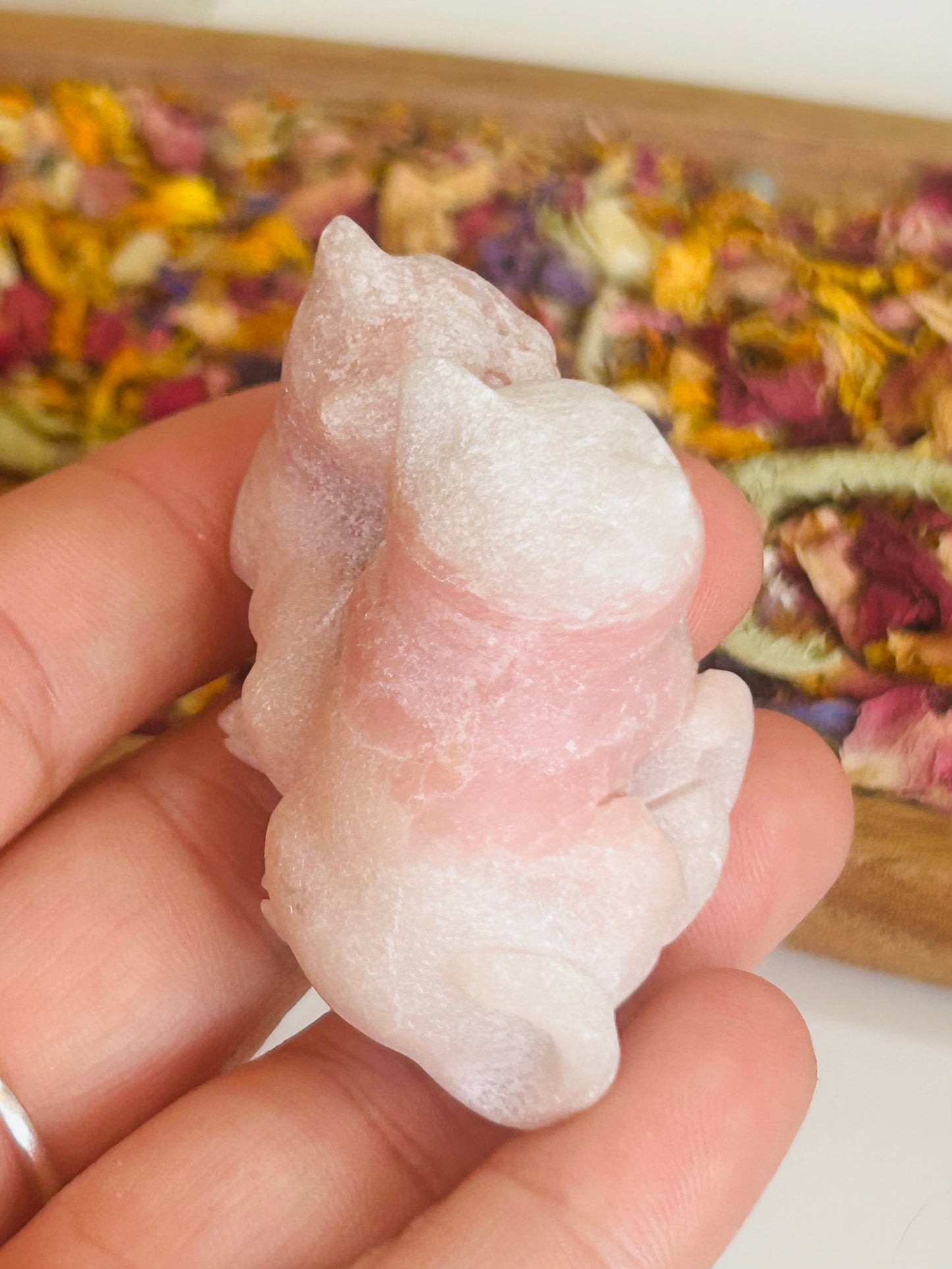Pink opal double cat