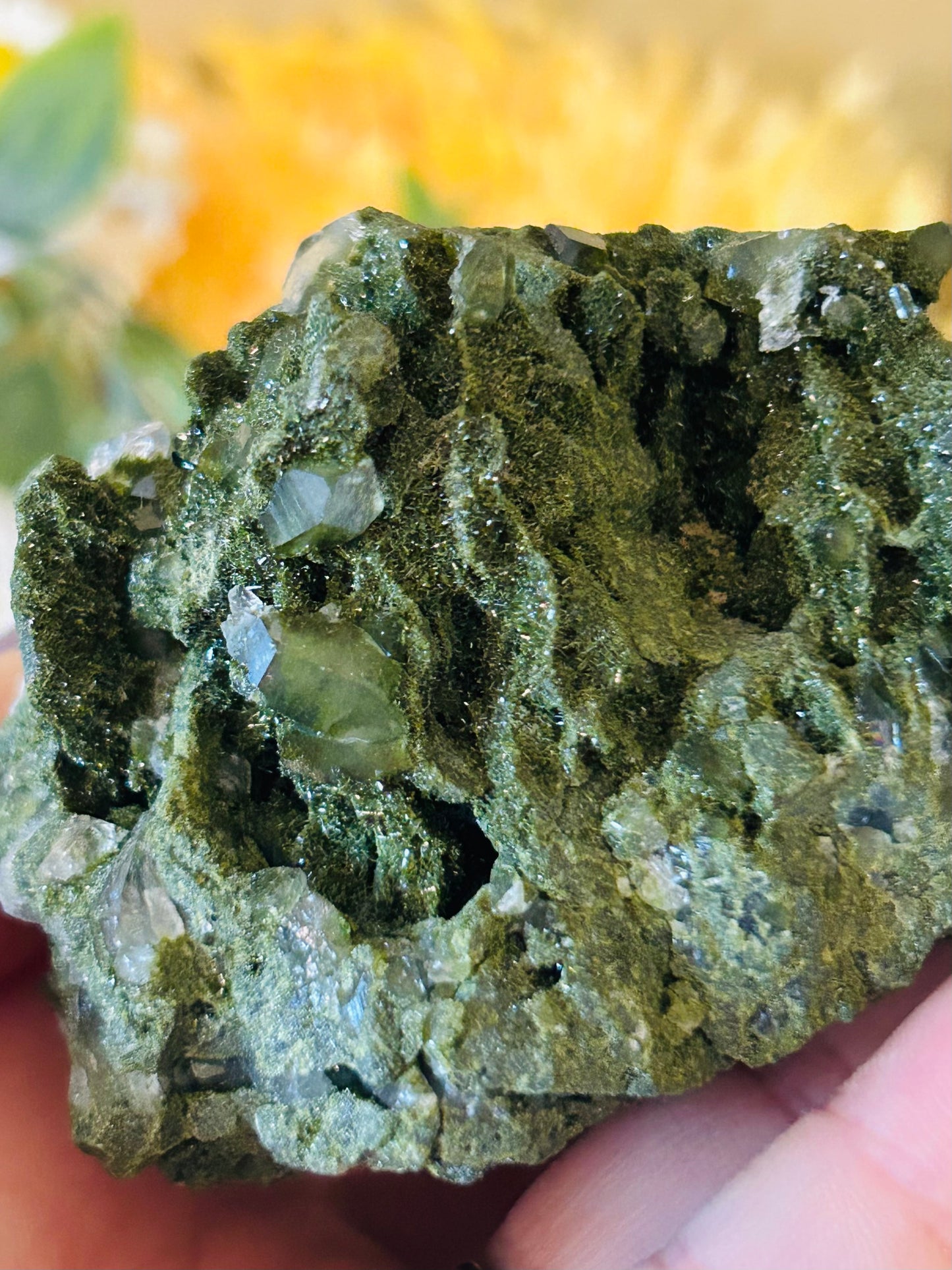 Epidote with quartz