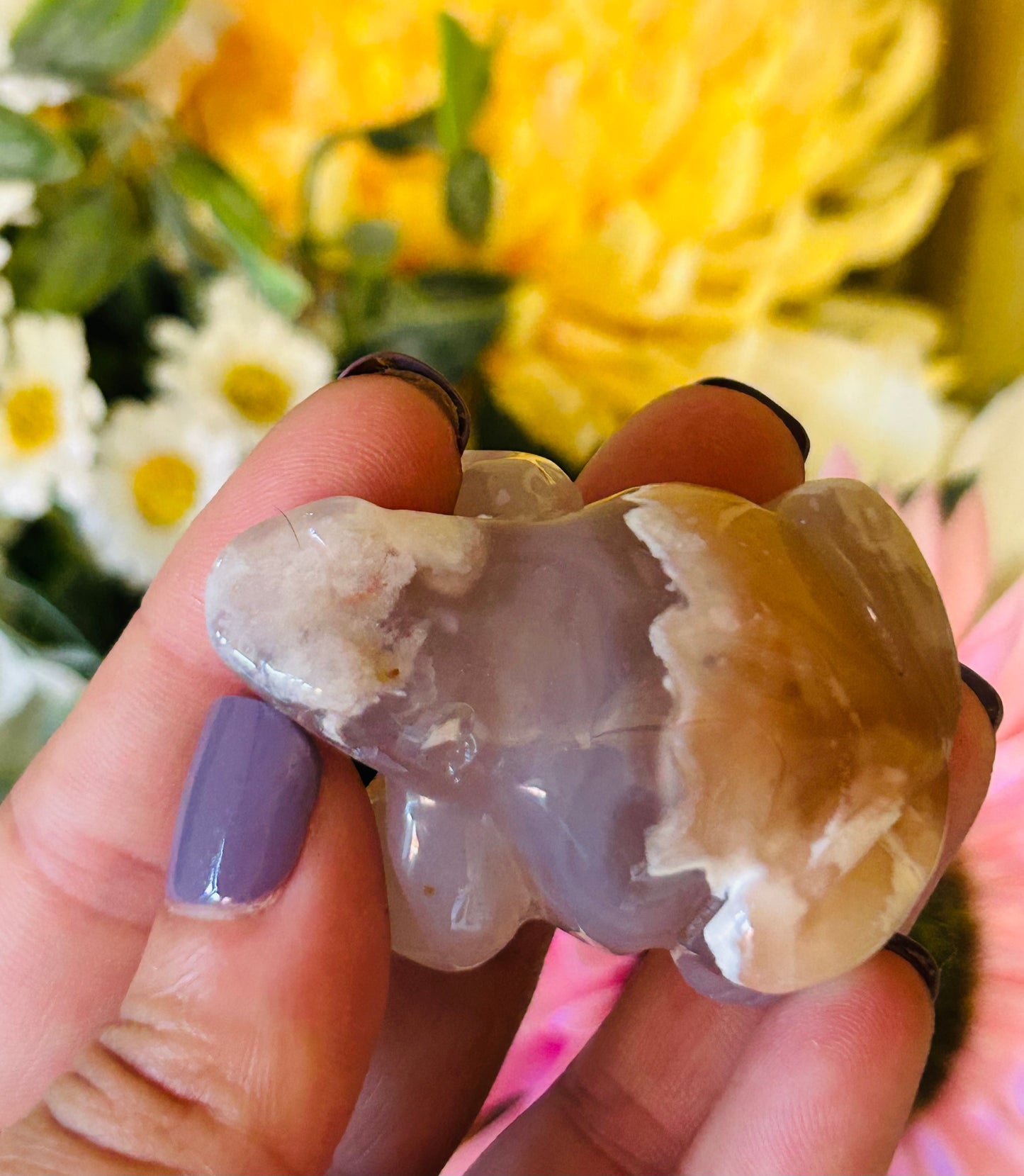 Flower agate frog with druzy