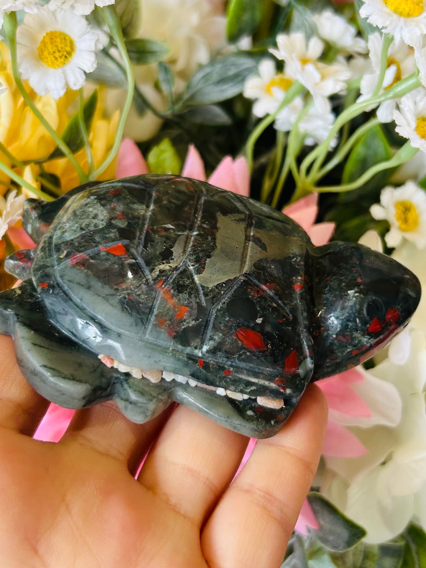 African bloodstone turtle