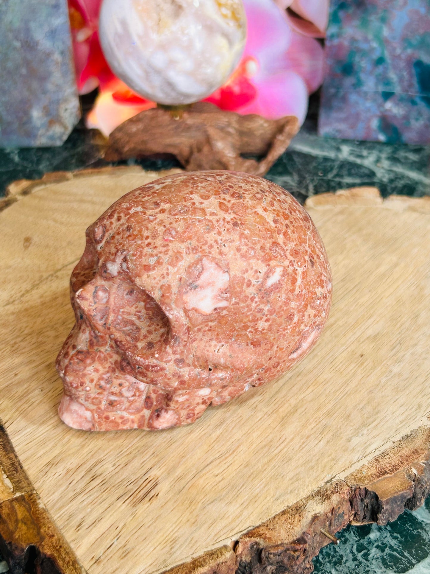 Money agate skull