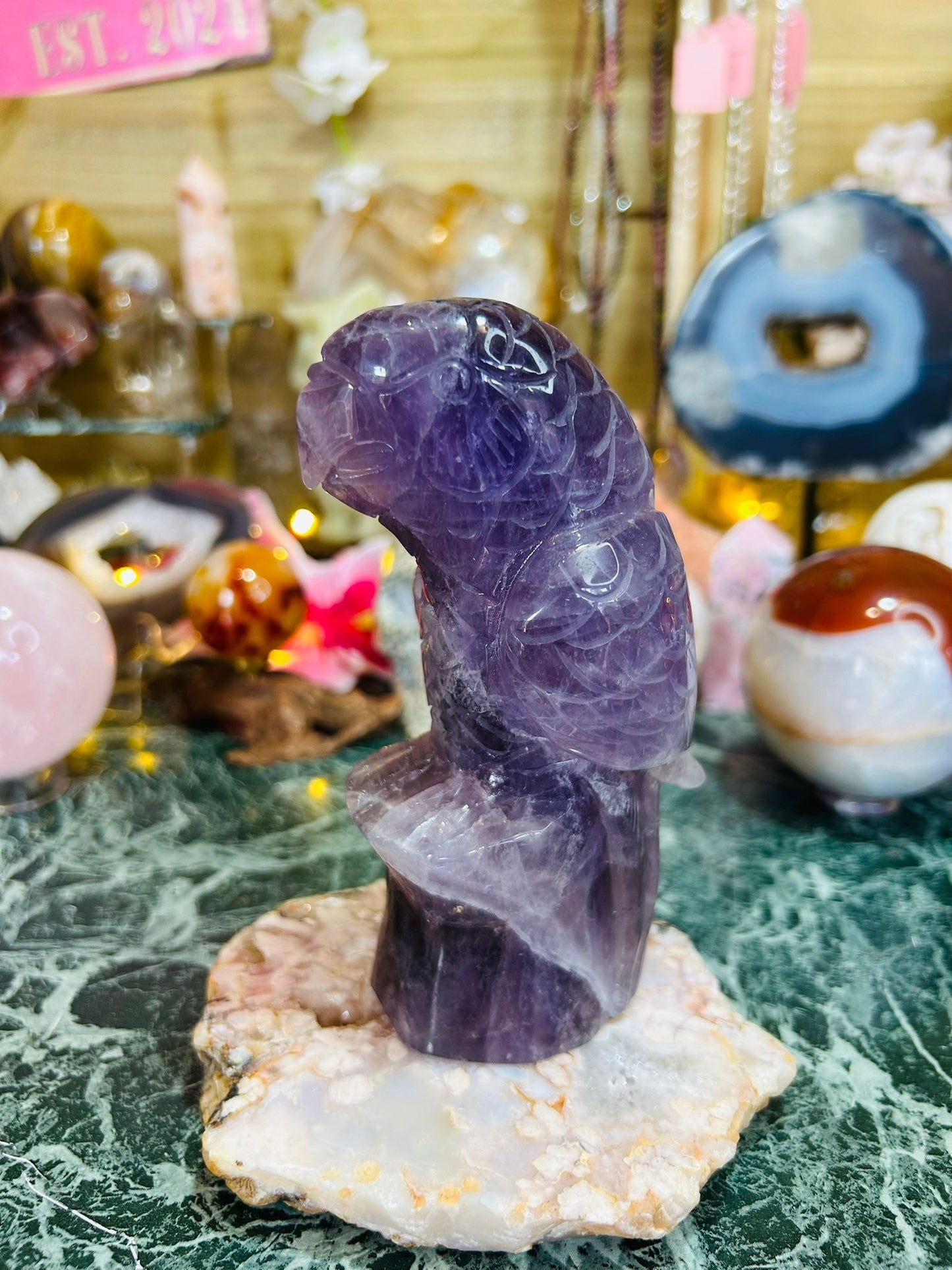 Amethyst parrot