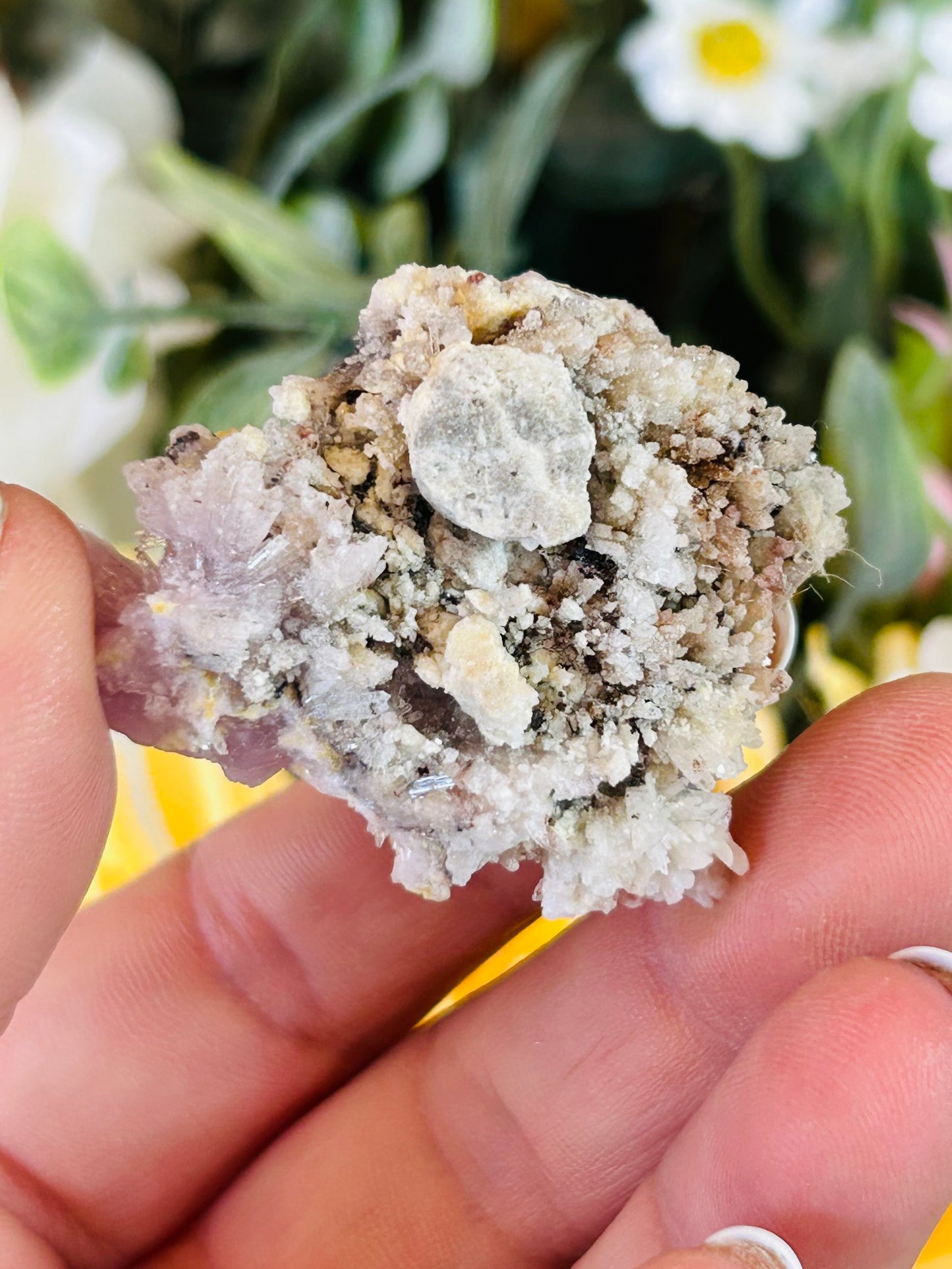 Purple creedite