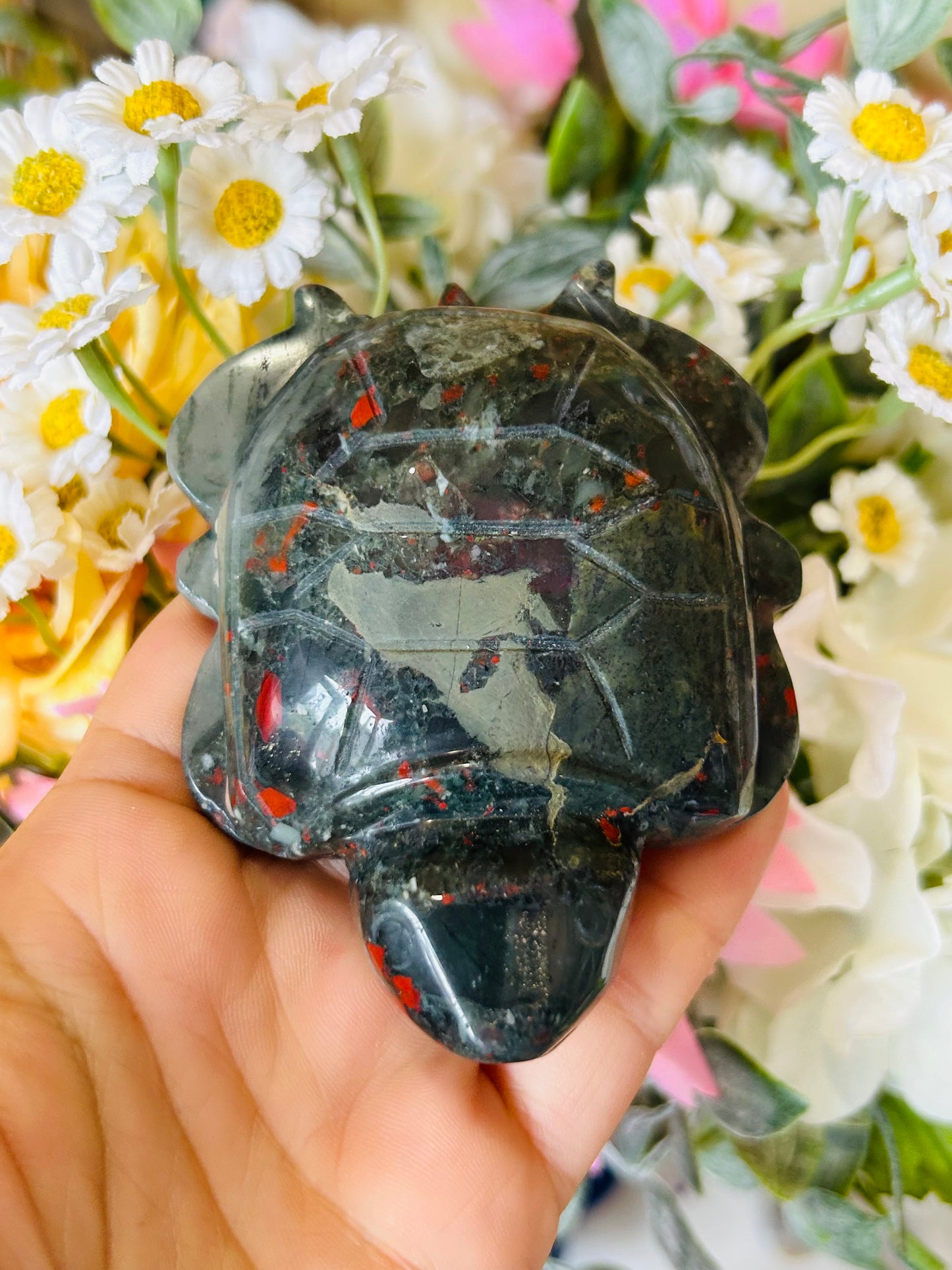 African bloodstone turtle
