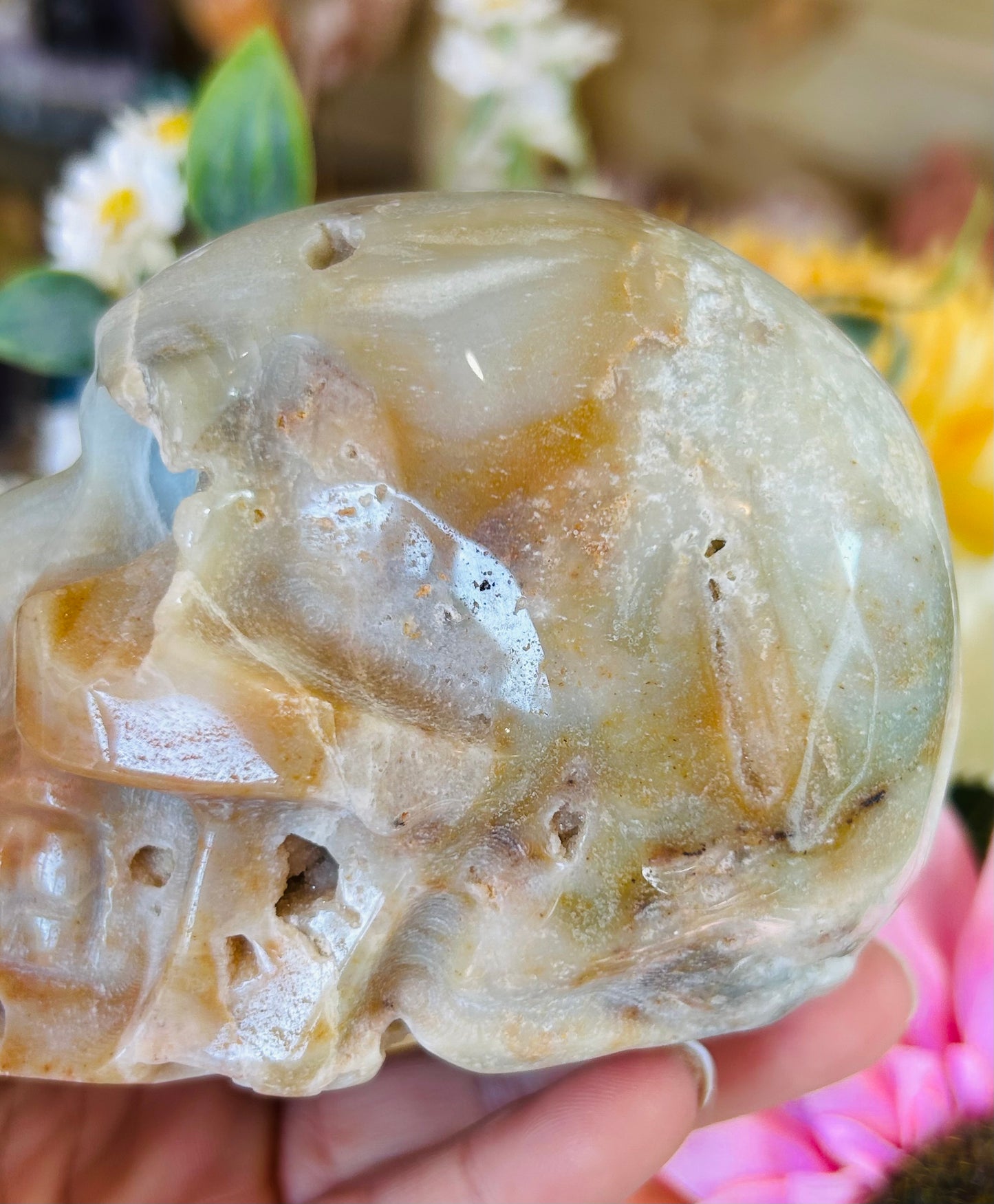 Caribbean calcite druzy skull