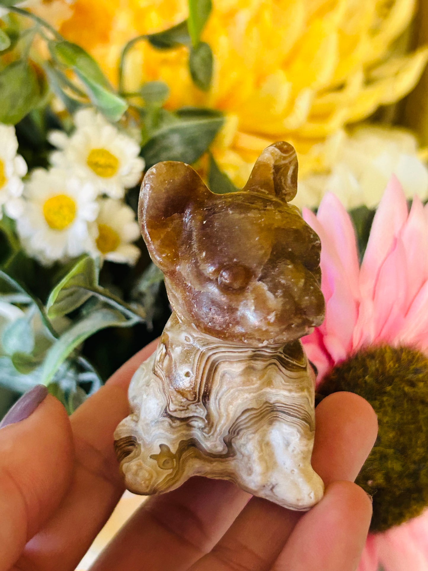 Chocolate calcite Frenchie