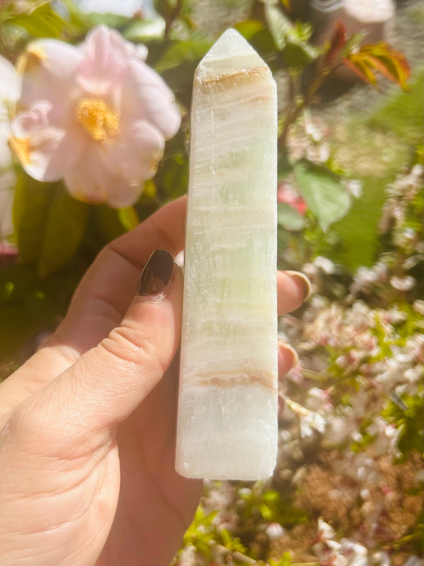 Caribbean calcite tower