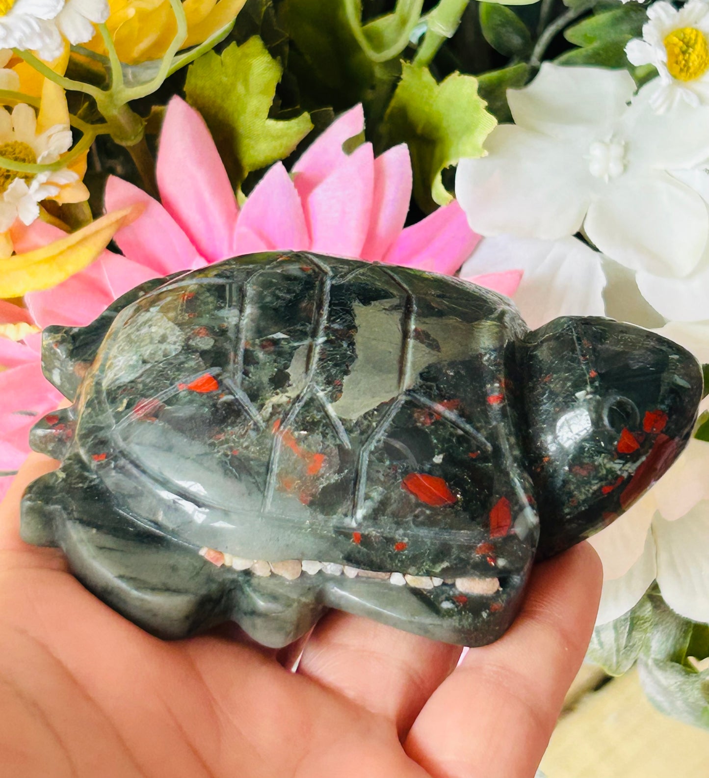 African bloodstone turtle