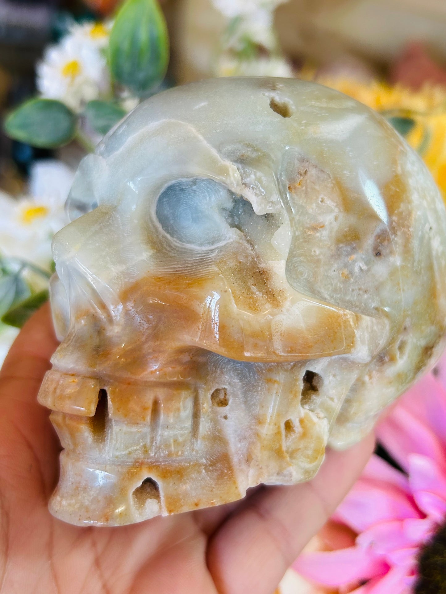 Caribbean calcite druzy skull