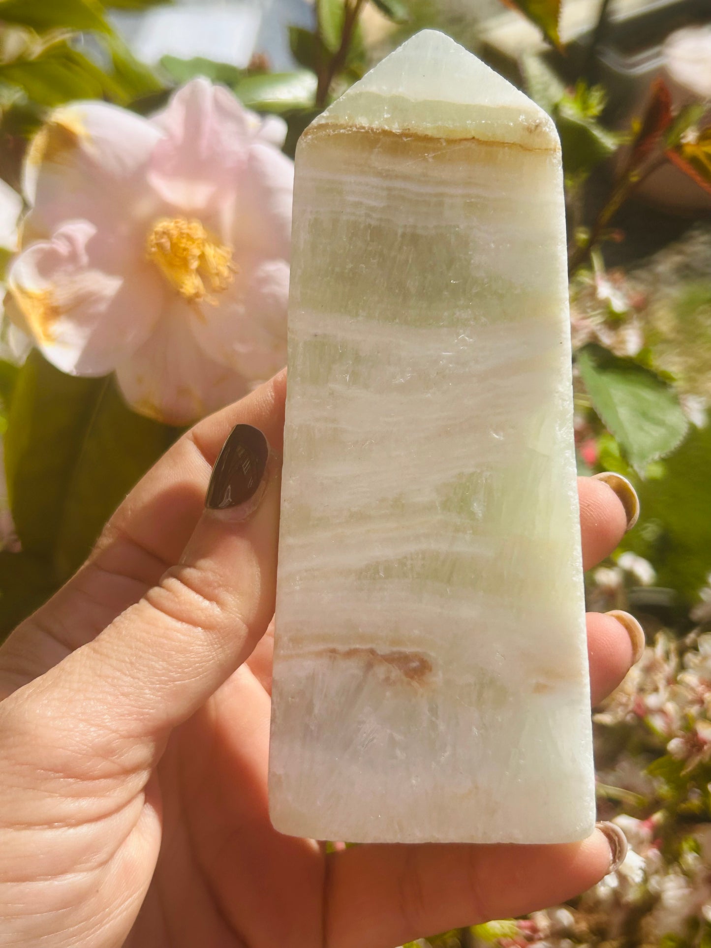 Caribbean calcite tower