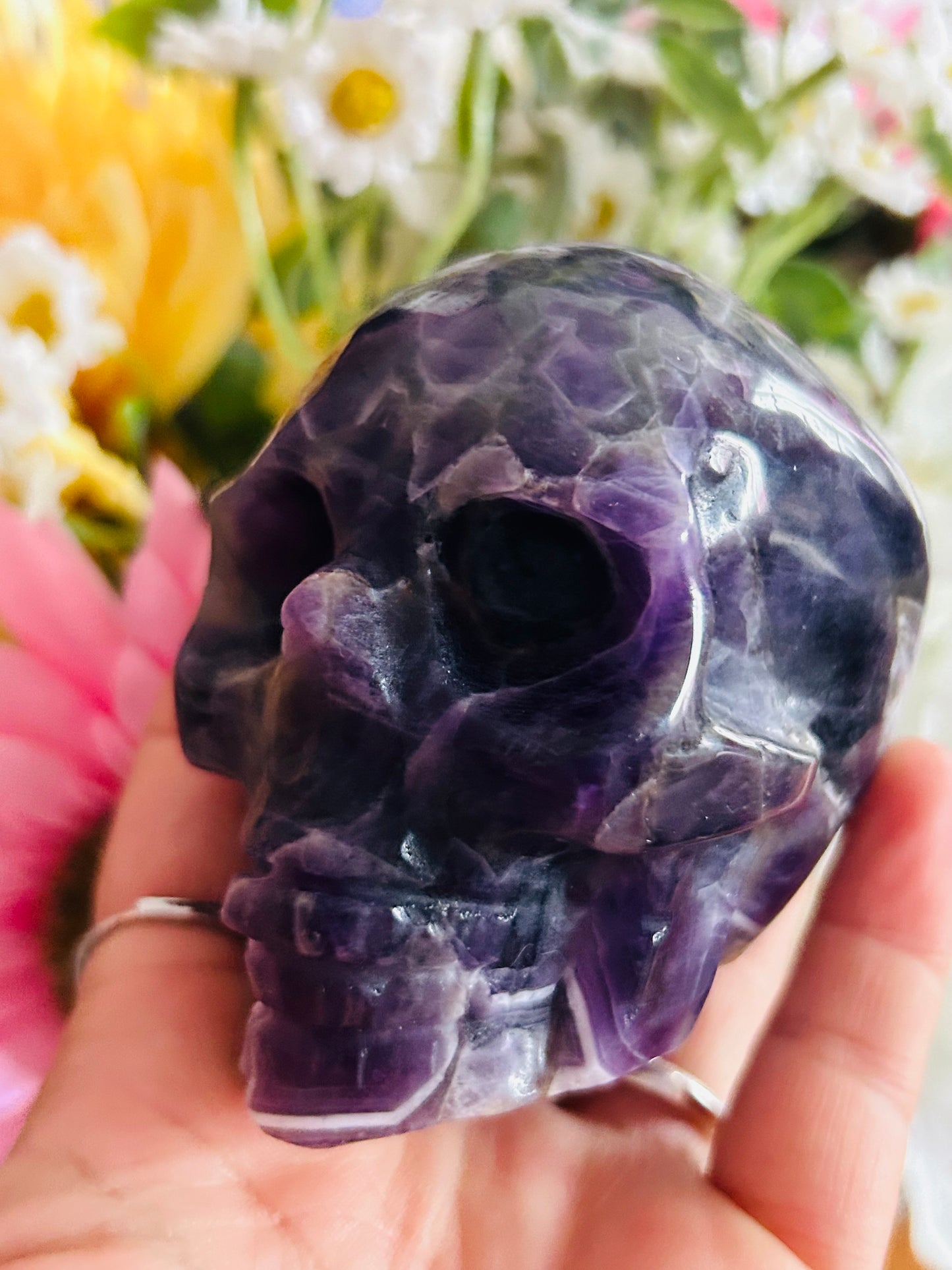 Dream amethyst skull