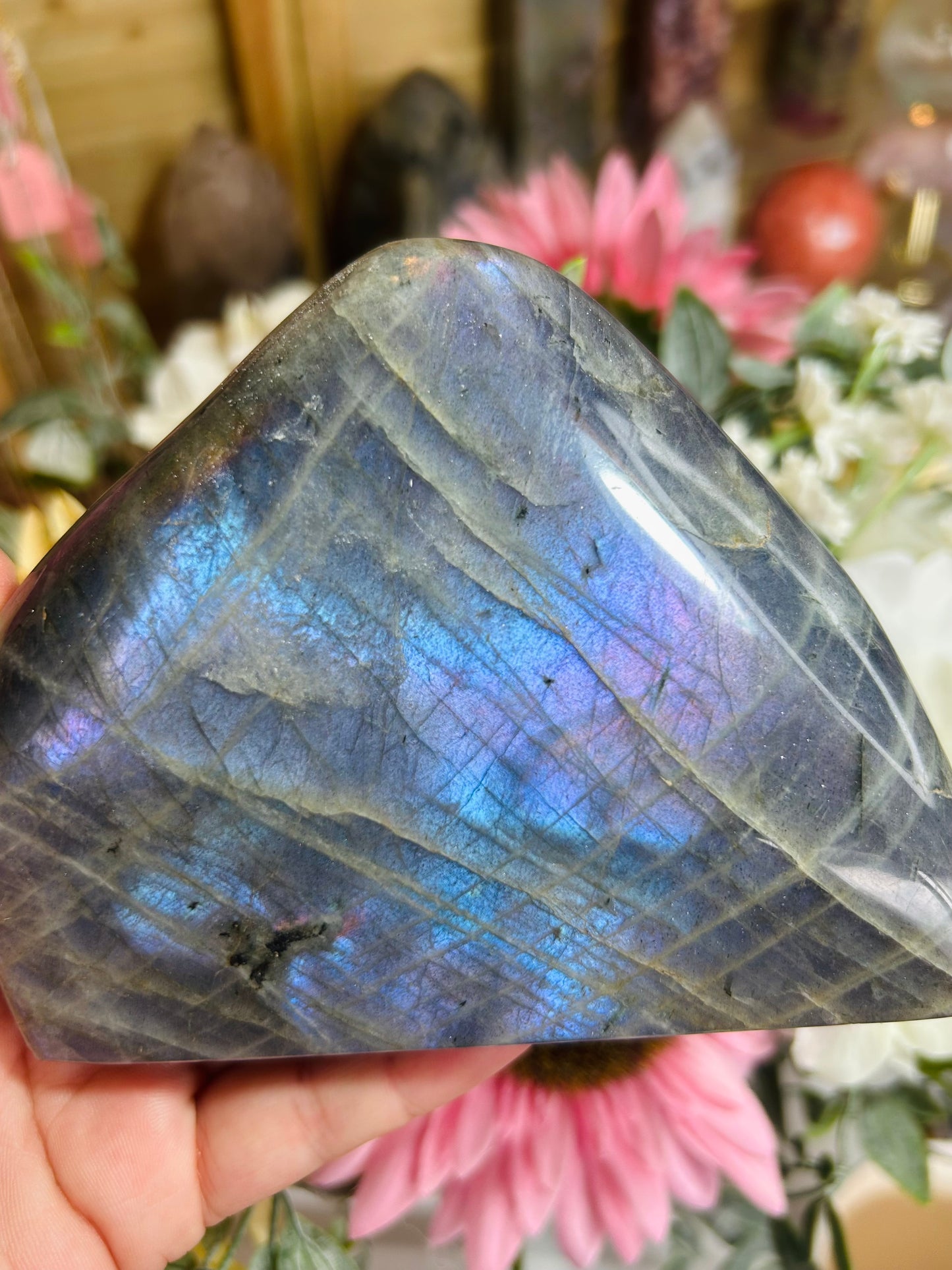 Blue/purple flash labradorite Freeform
