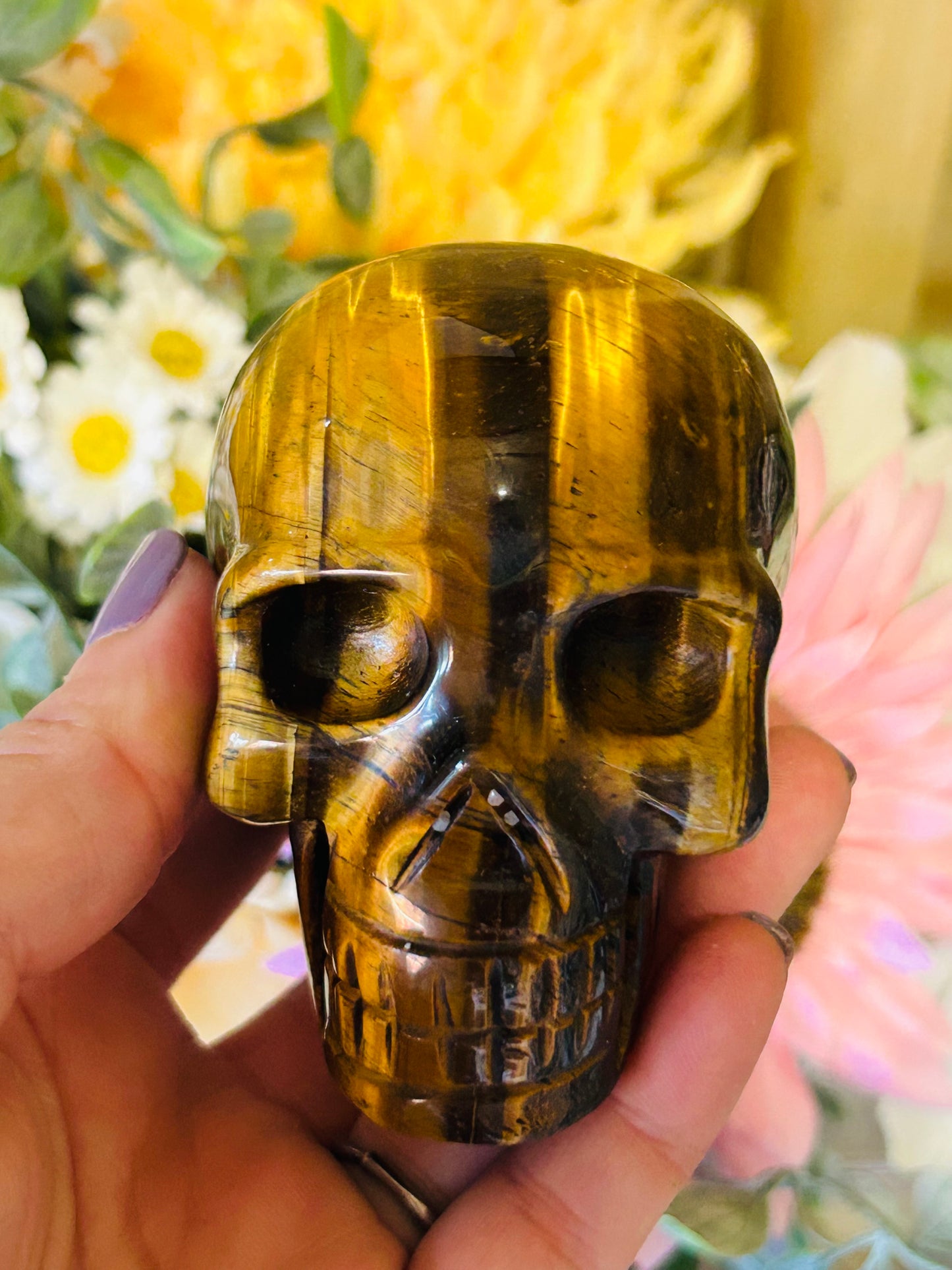 Tigers eye skull