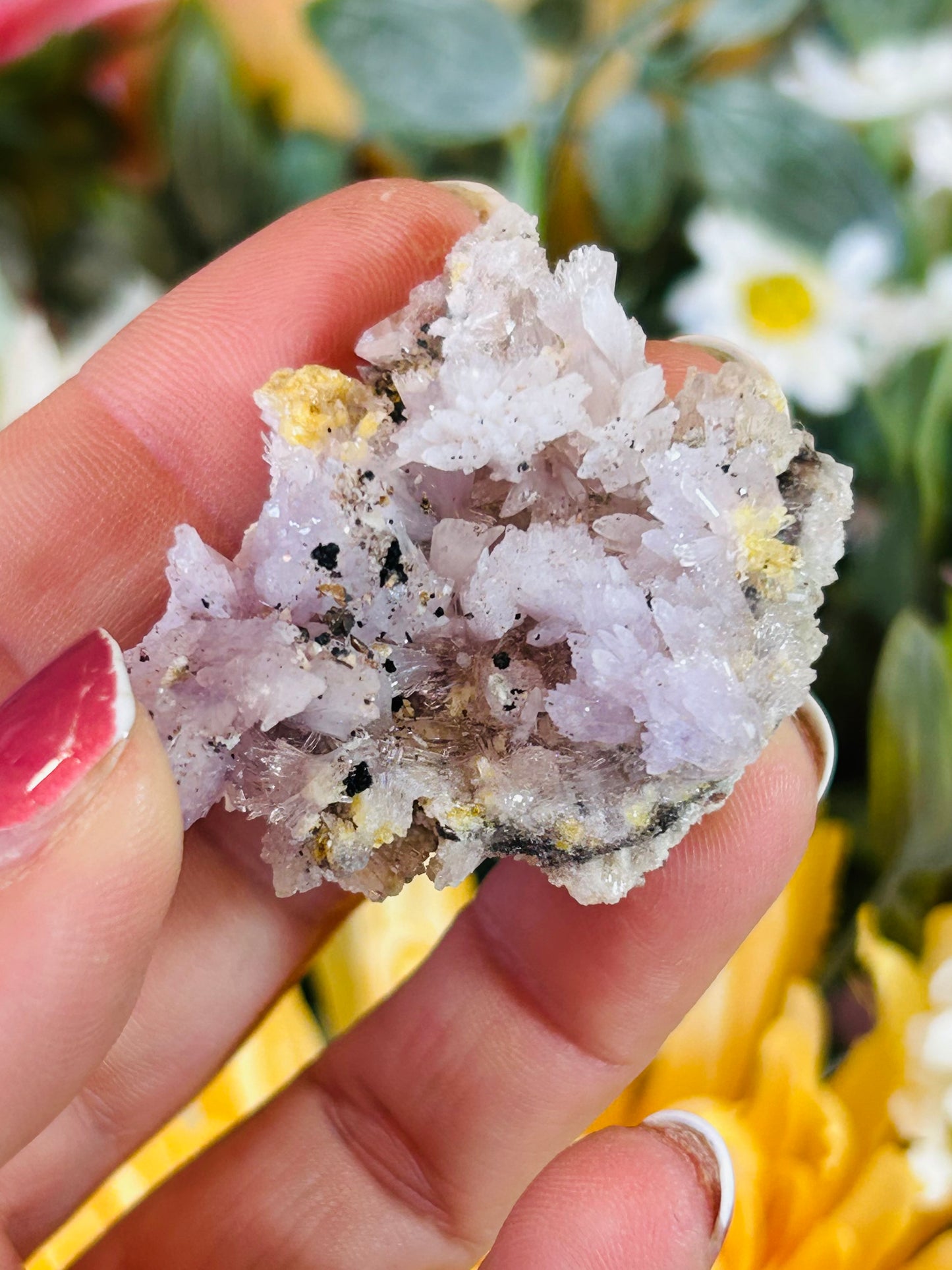 Purple creedite