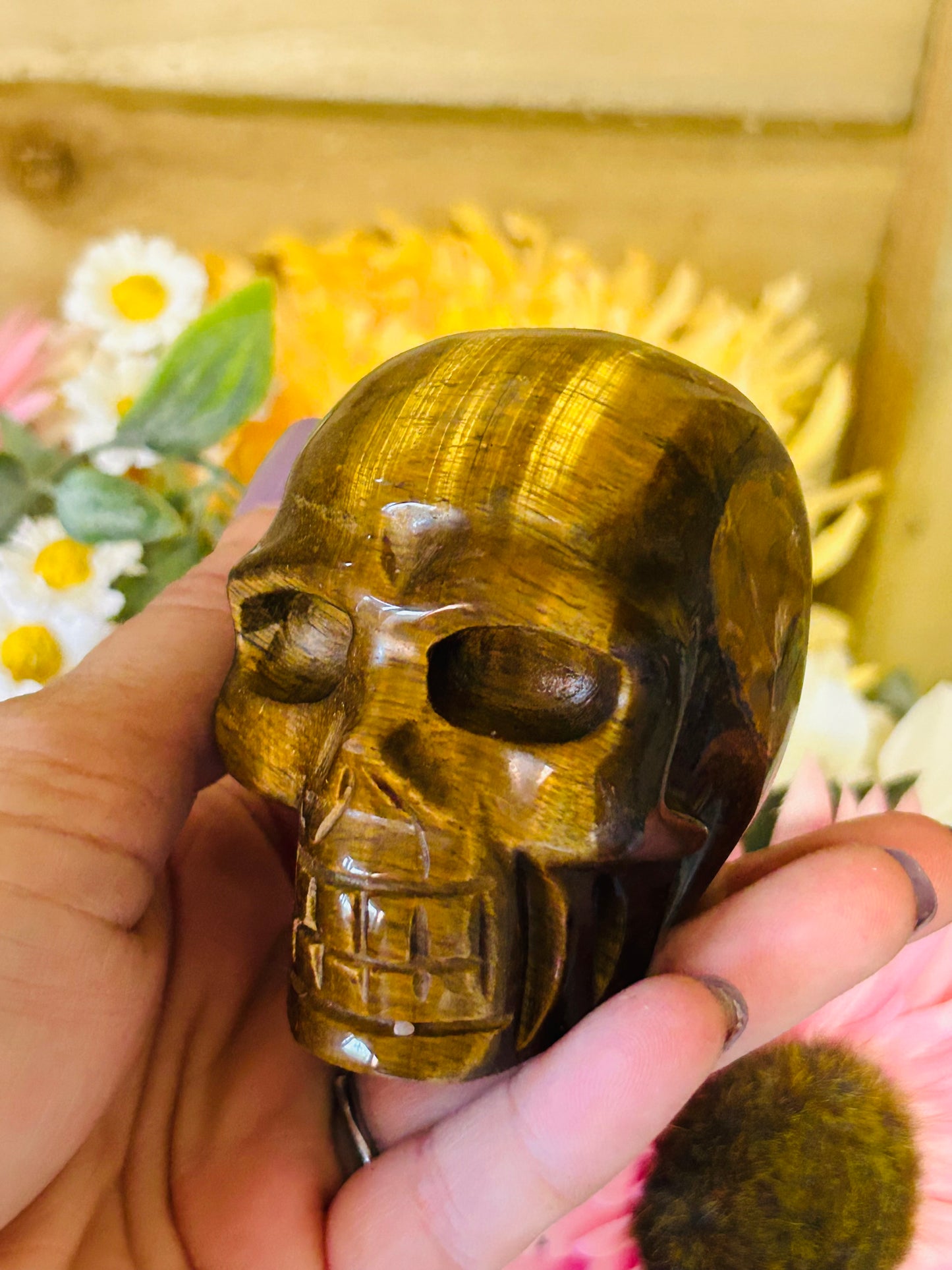 Tigers eye skull