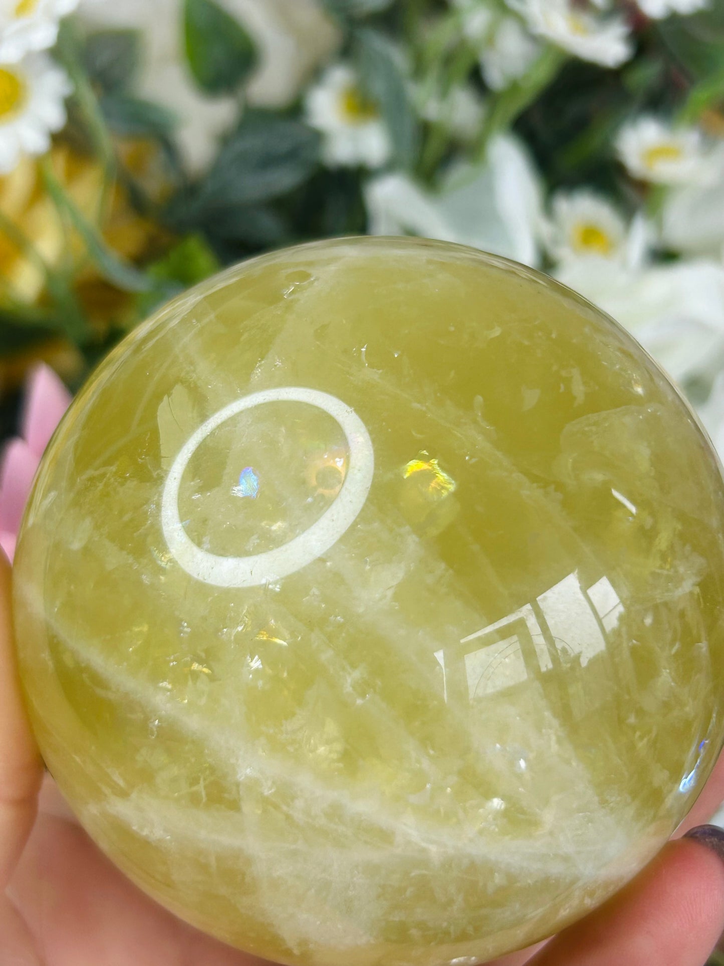 Asterism citrine sphere - heat treated