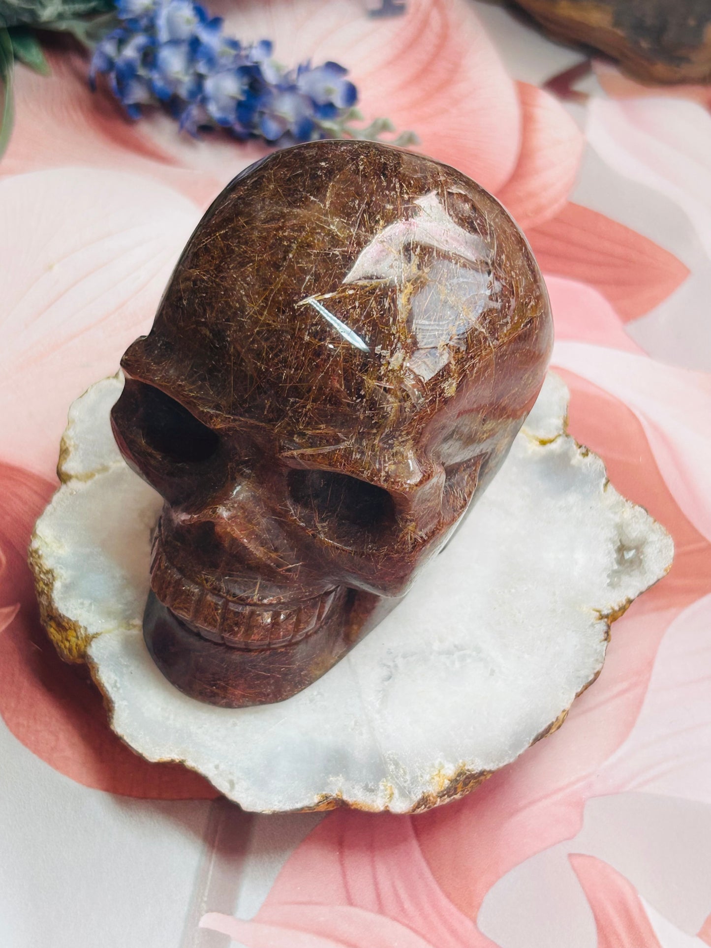 Red rutile skull