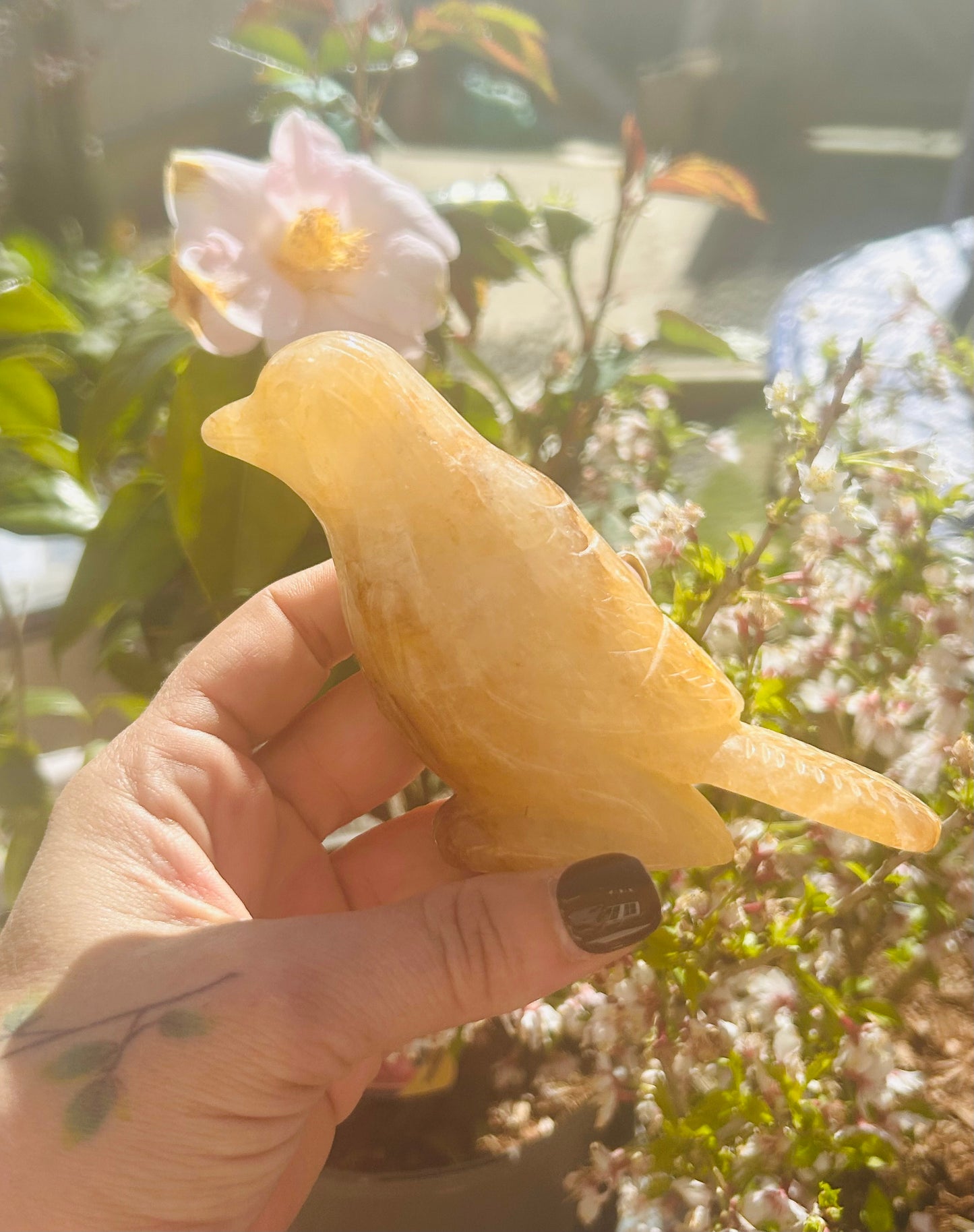 Golden healer bird