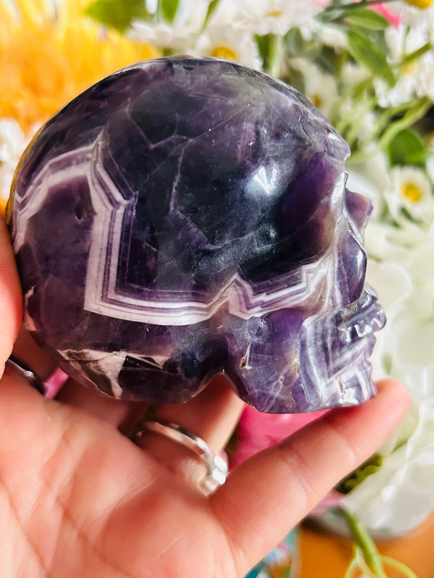 Dream amethyst skull
