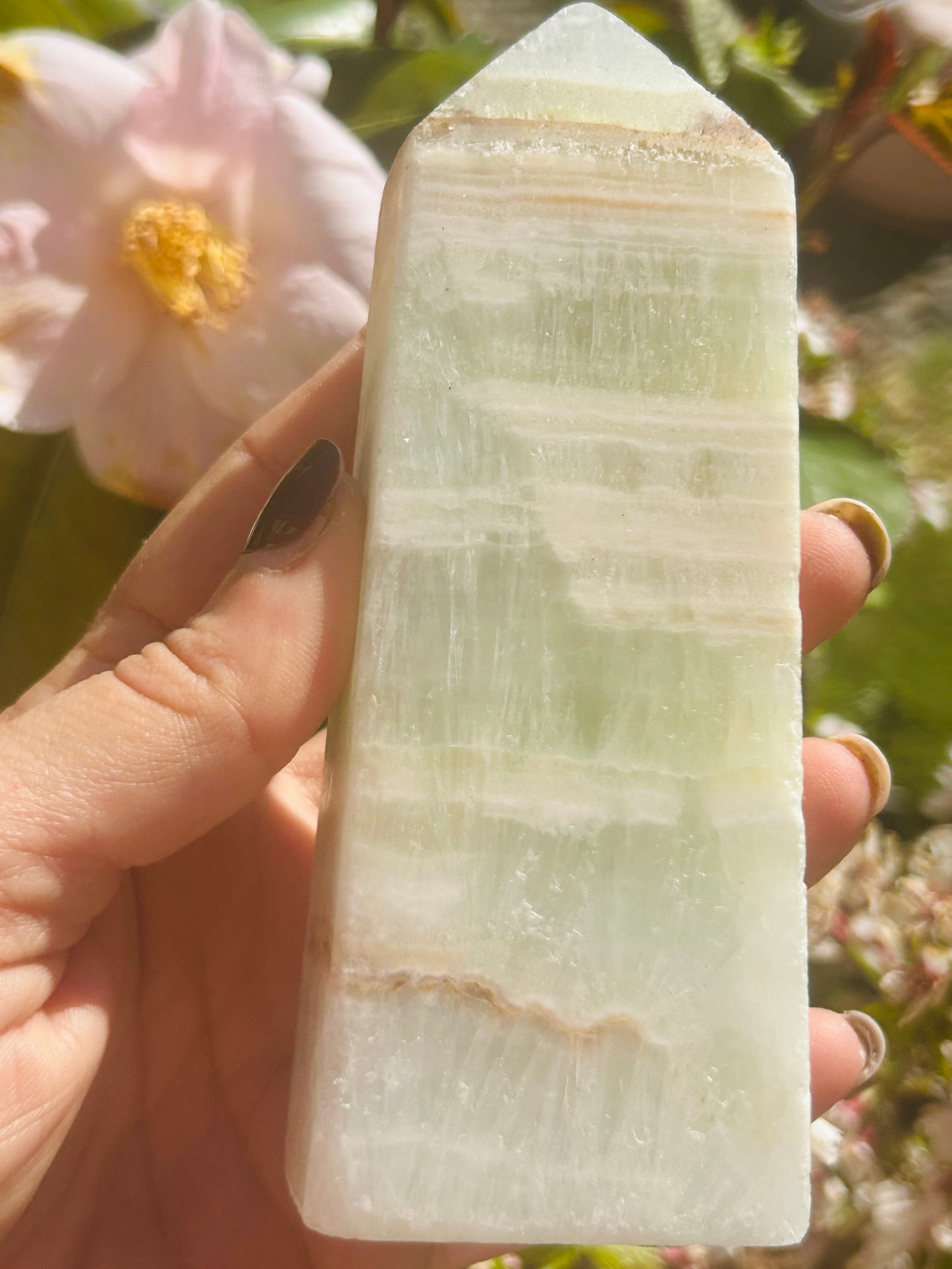 Caribbean calcite tower