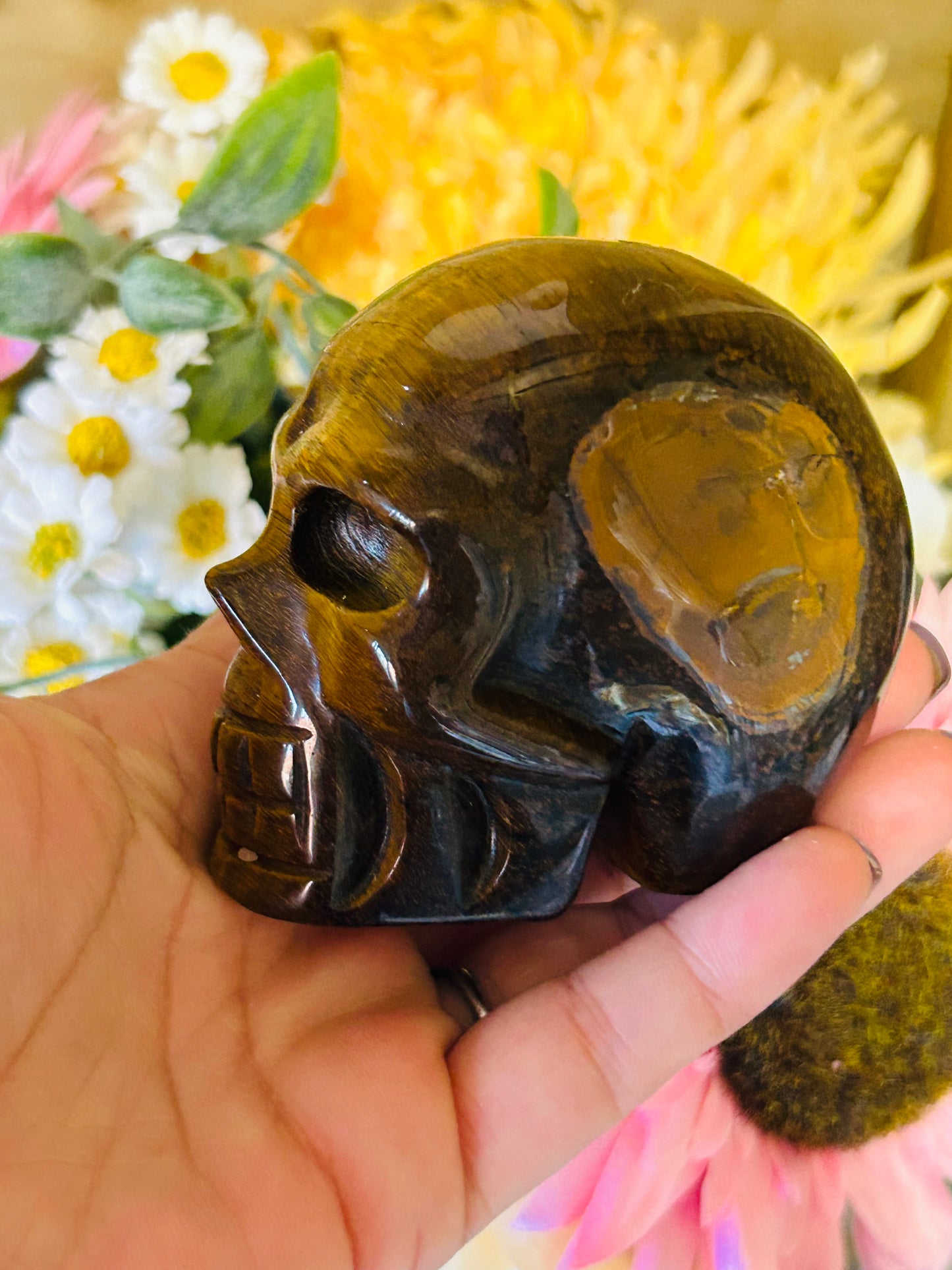 Tigers eye skull