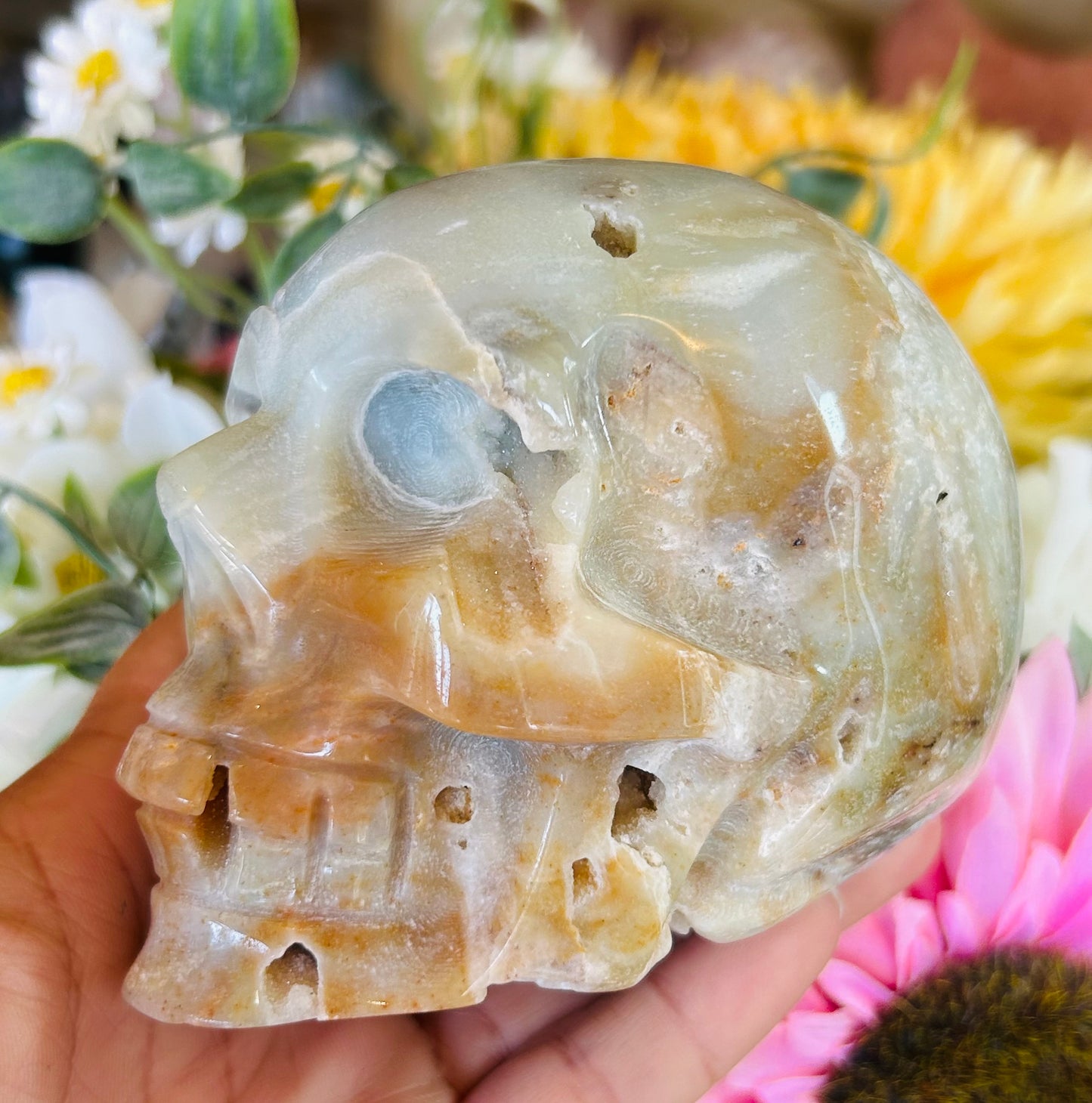 Caribbean calcite druzy skull