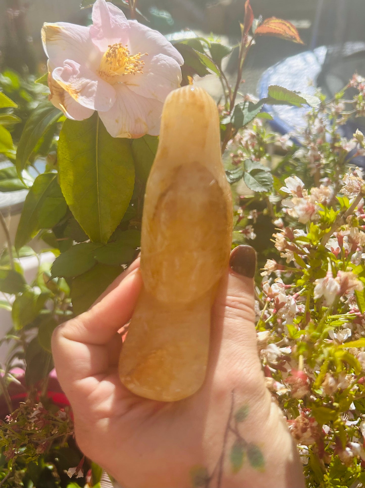 Golden healer bird