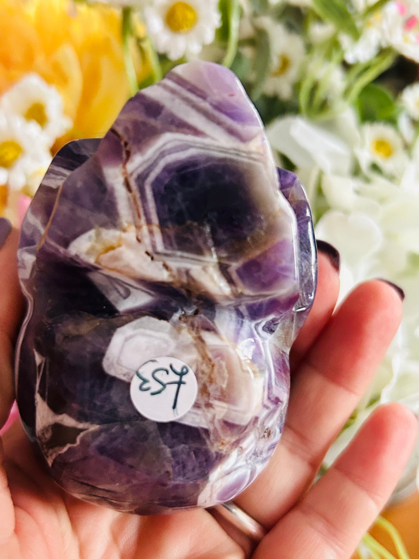 Dream amethyst skull
