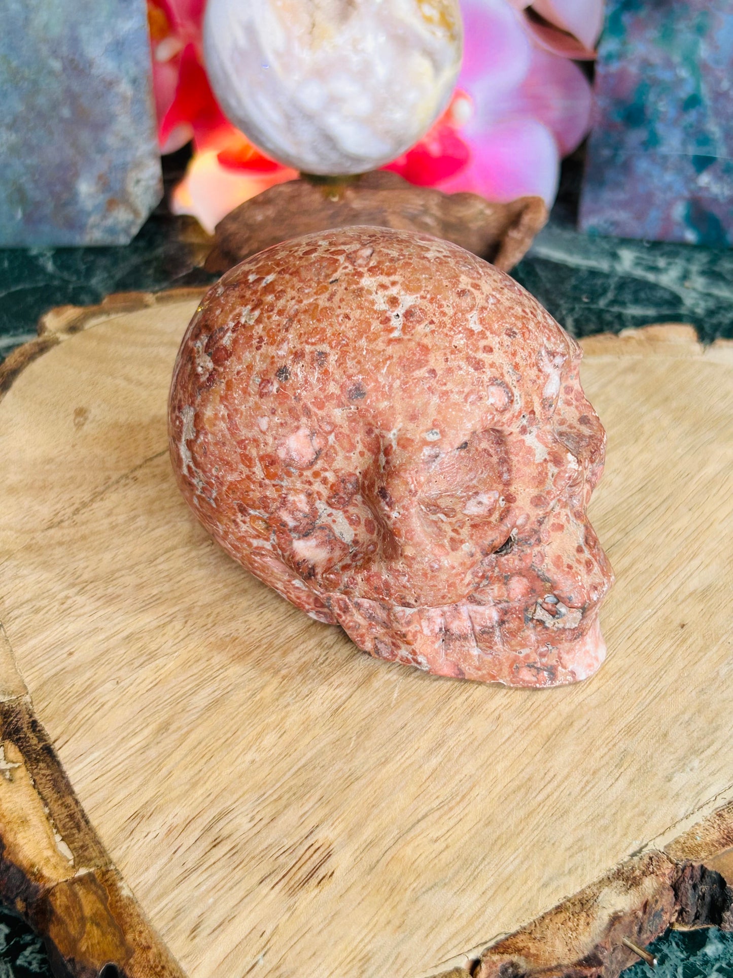 Money agate skull
