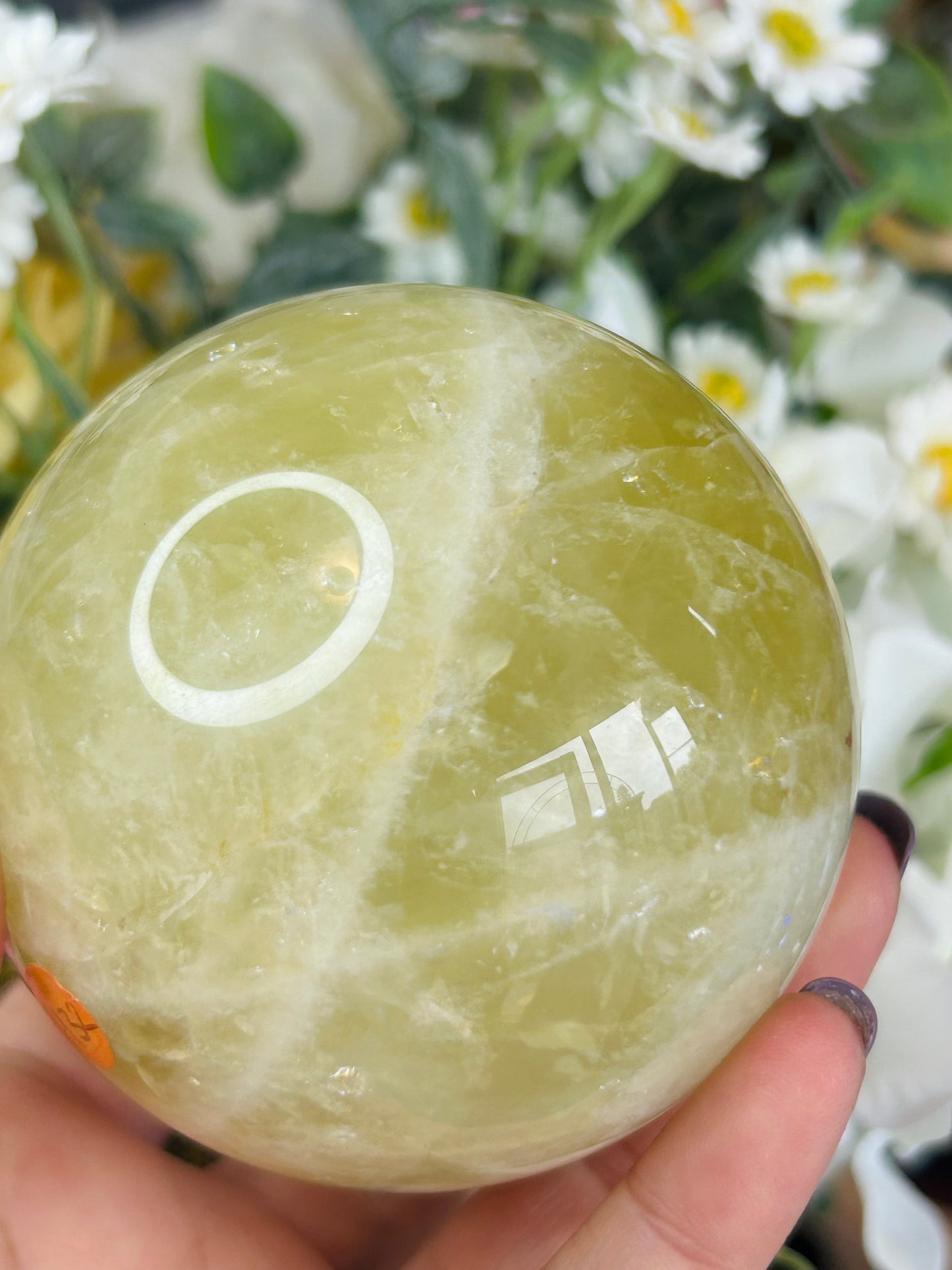 Asterism citrine sphere - heat treated