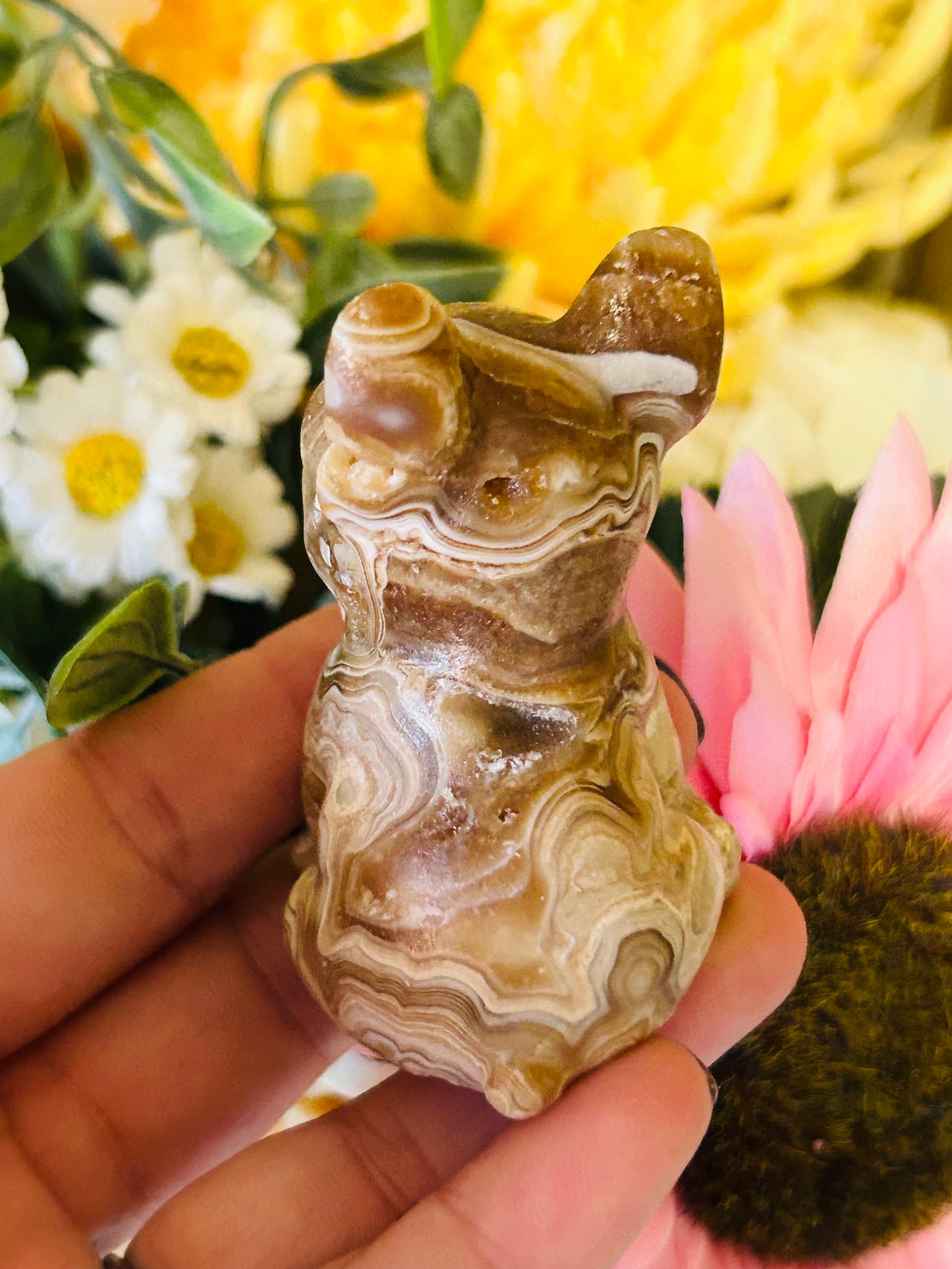 Chocolate calcite Frenchie