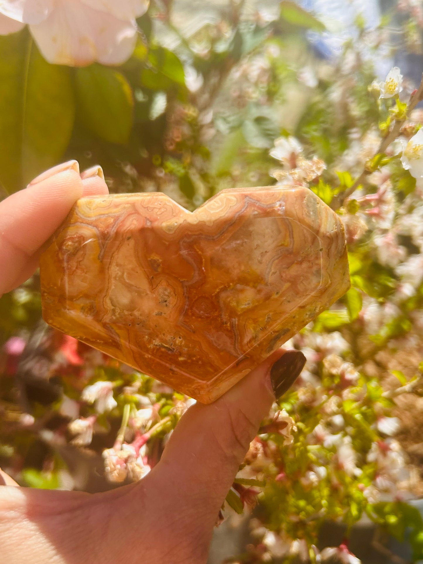 Crazy lace agate freestanding heart