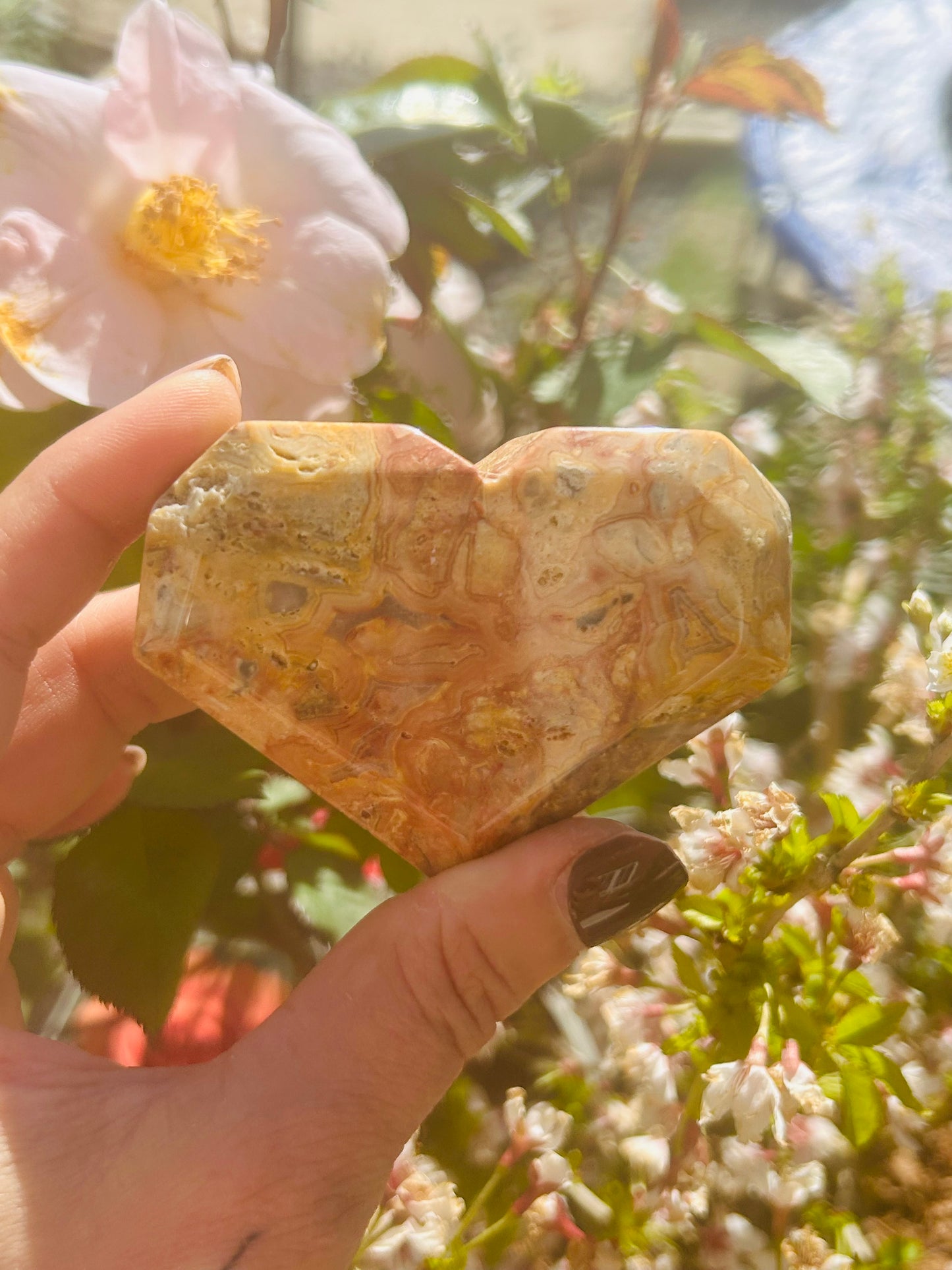 Crazy lace agate freestanding heart