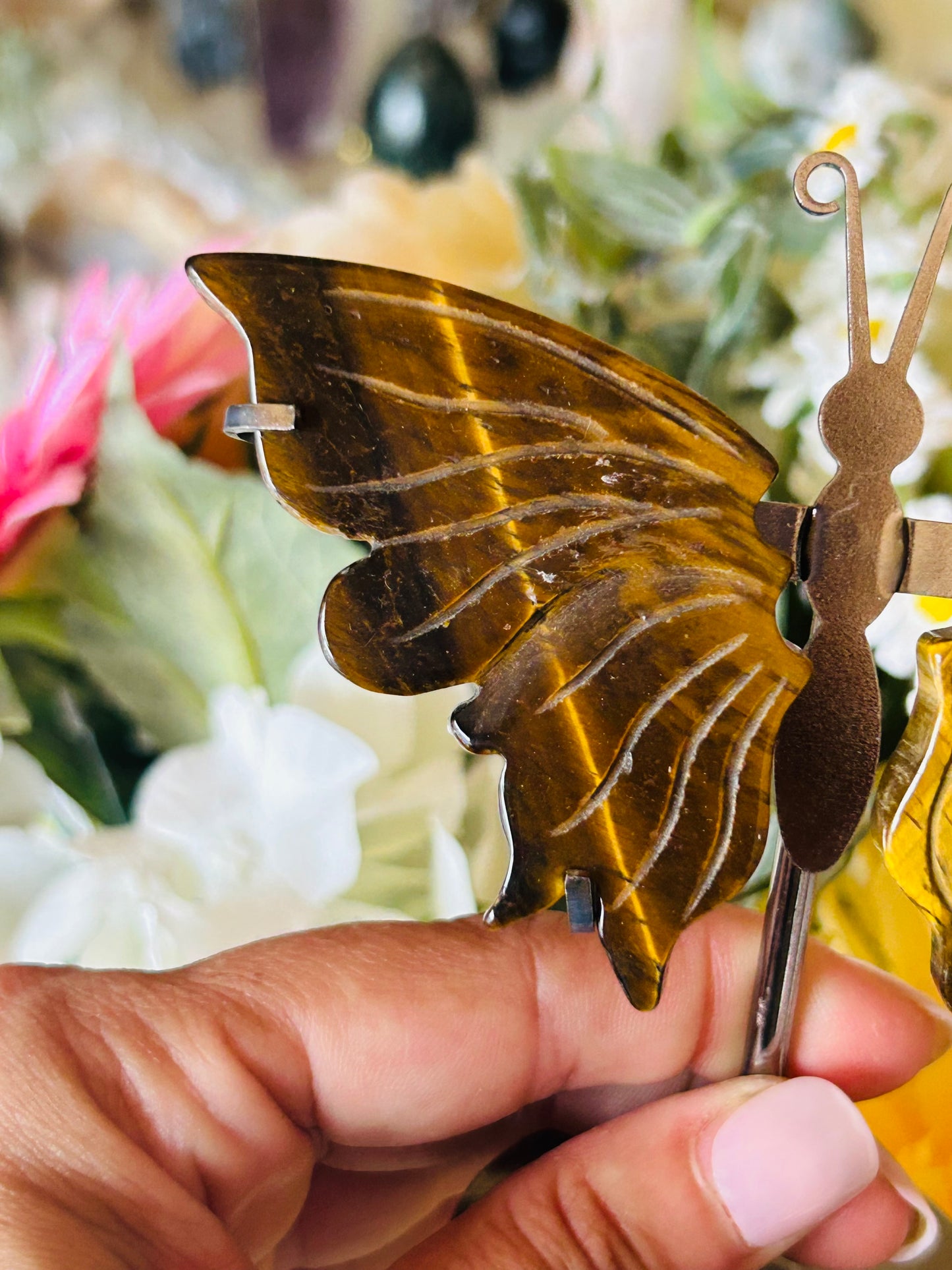 Tigers eye butterfly