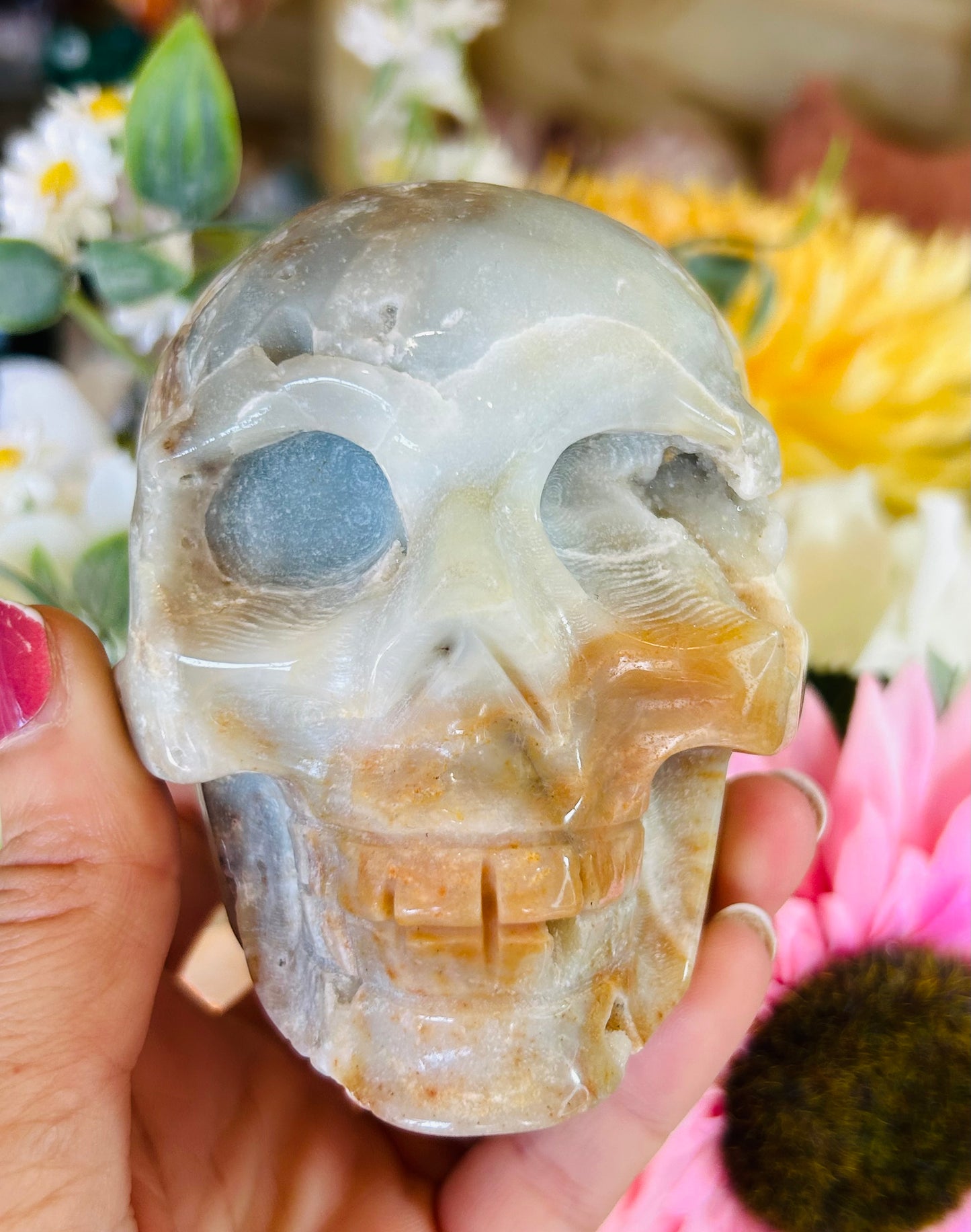 Caribbean calcite druzy skull