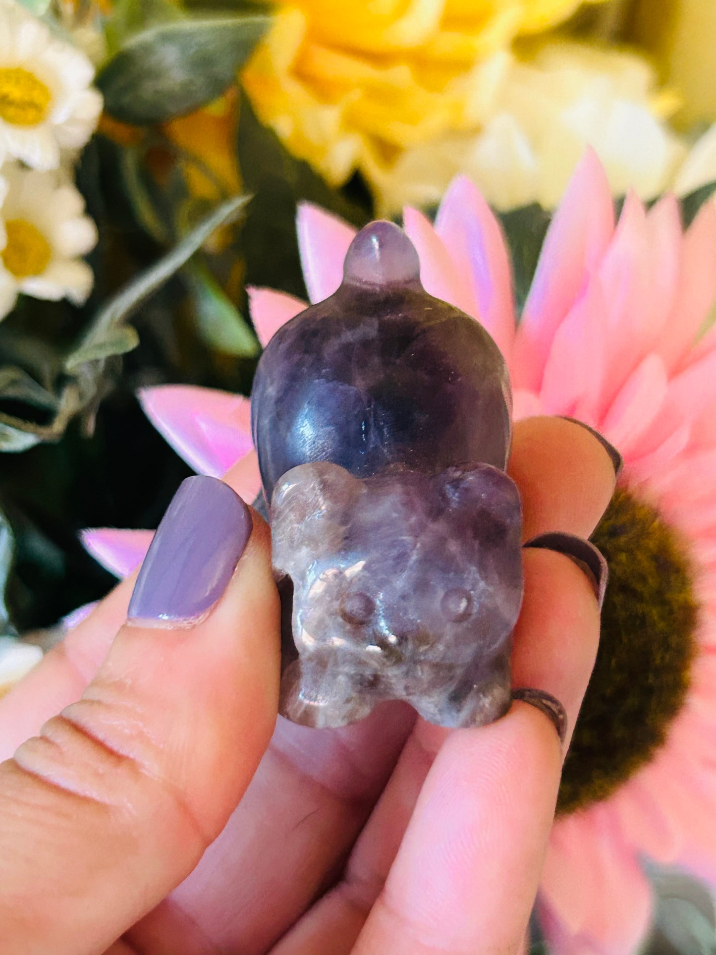 Amethyst cat