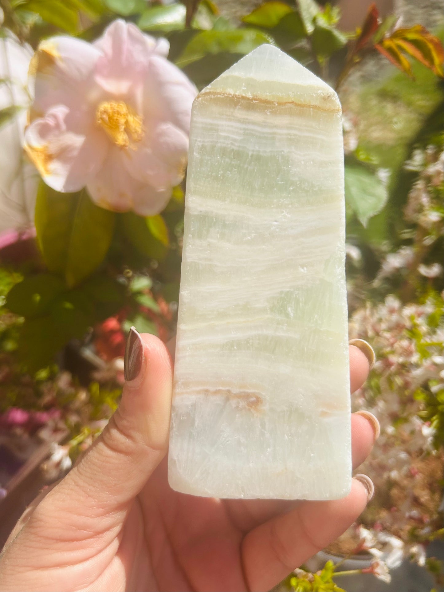 Caribbean calcite tower