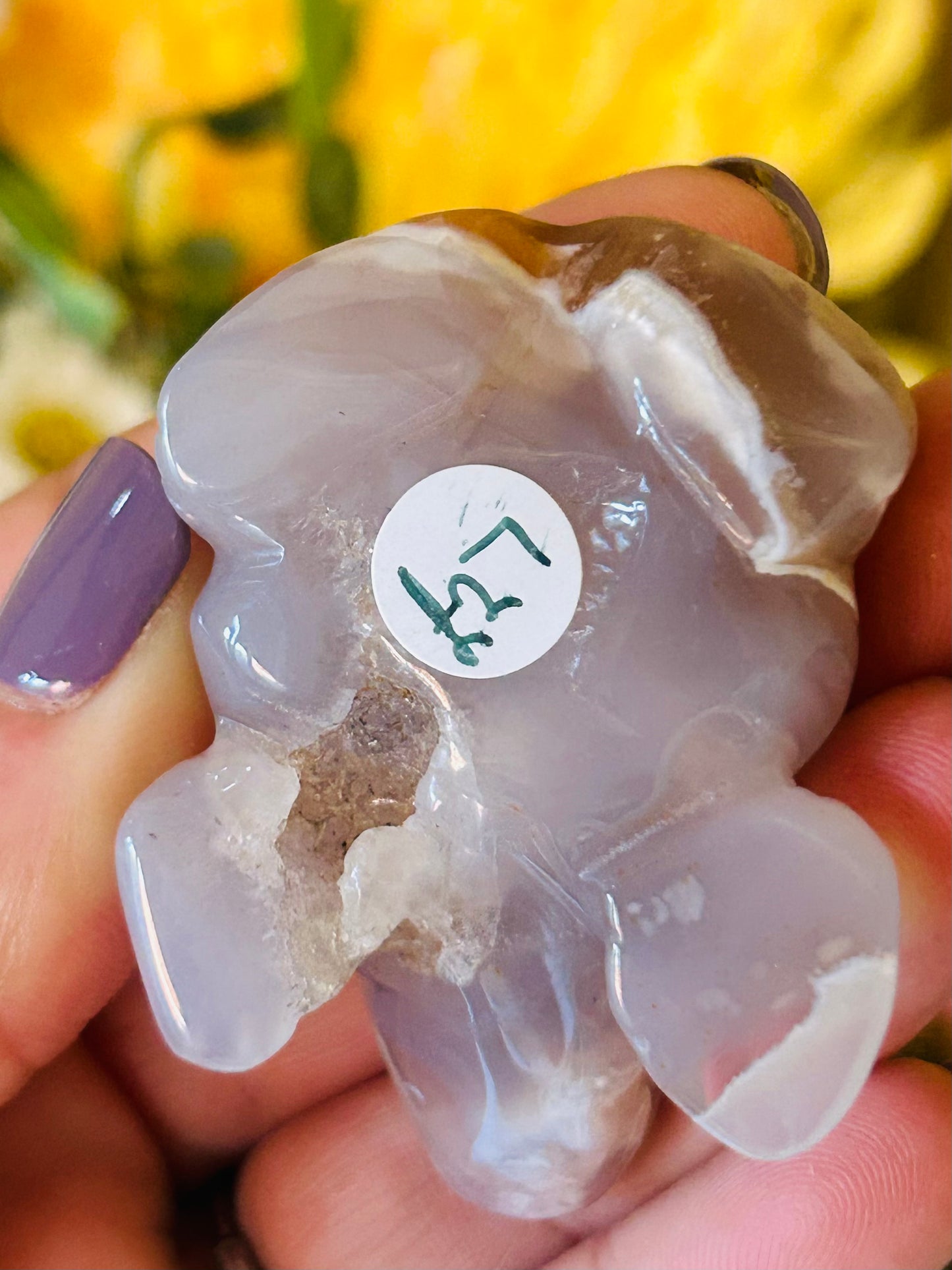 Flower agate frog with druzy